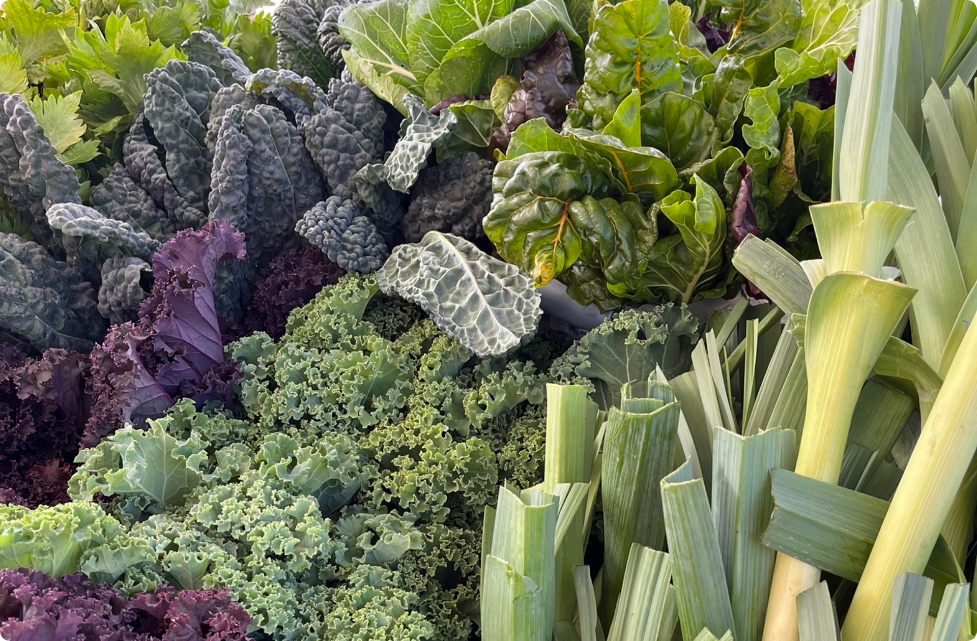 Fresh vegetables at the Ellington Farmers Market