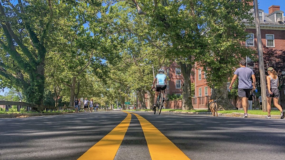 A roadway with no cars, accessible for bikers and pedestrians to enjoy.