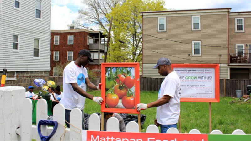 Two black men in white t-shirts install signage for a community garden with images of tomatoes