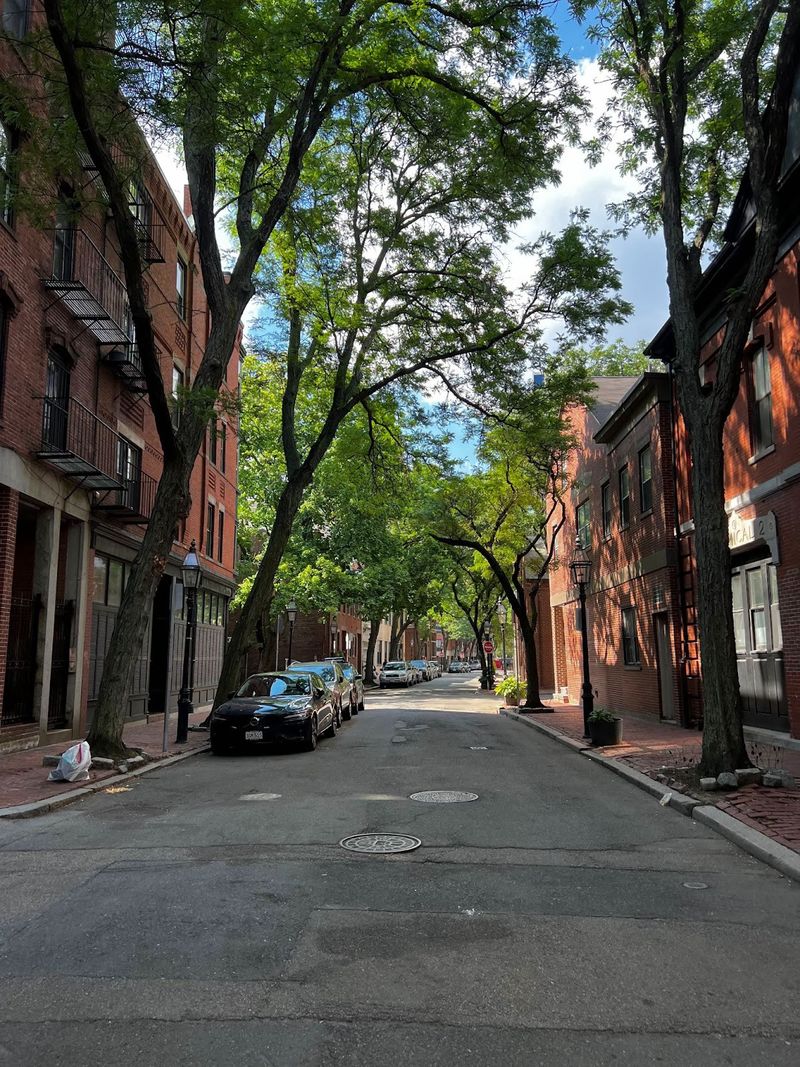 A Boston street on a hot summer day with ample shade provided by street trees.