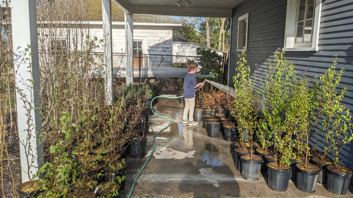 A boy in a blue t-shirt uses a hose to water potted trees.