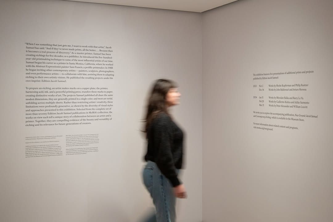 MoMA 6
