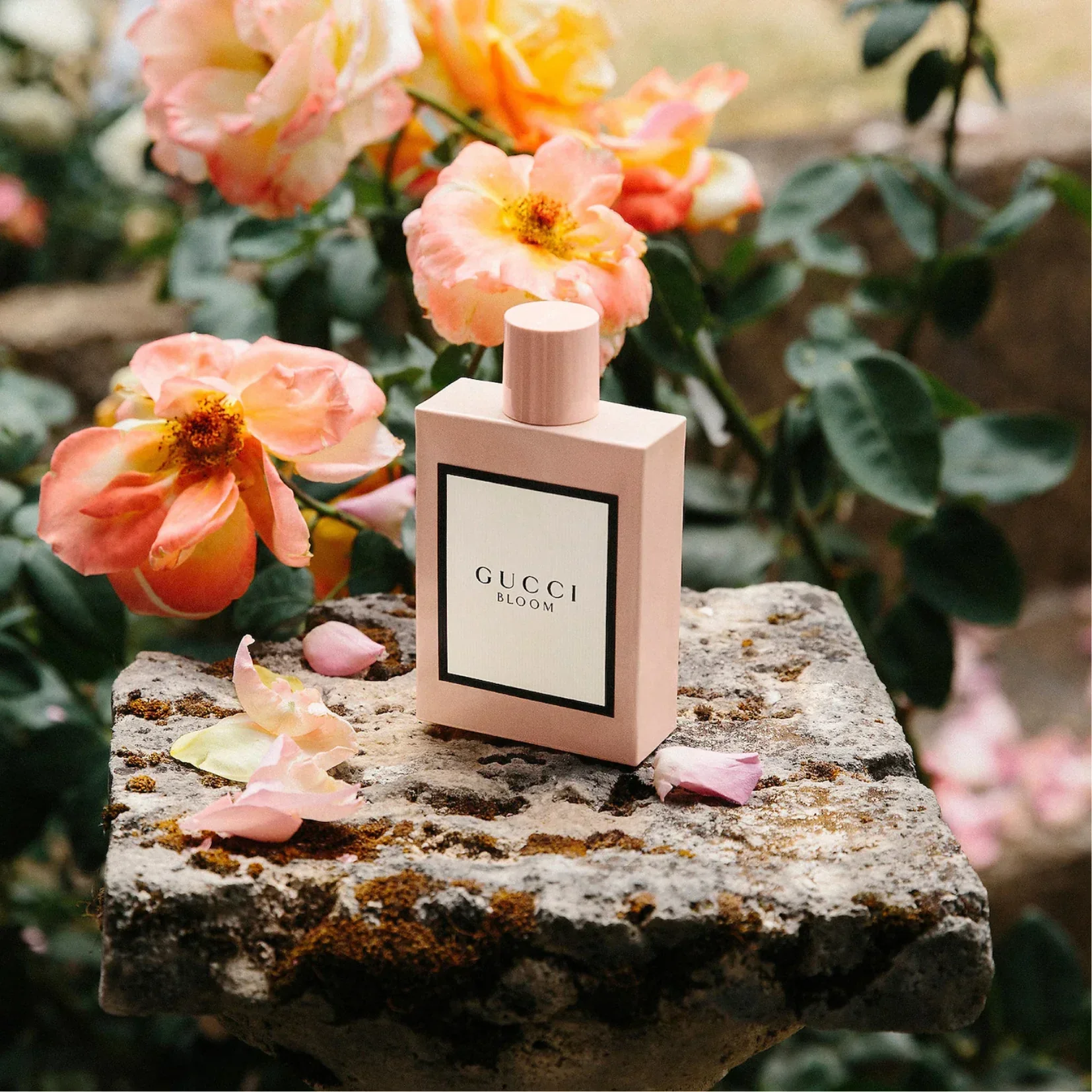 Fragrance Wardrobing Is the New Capsule Wardrobe