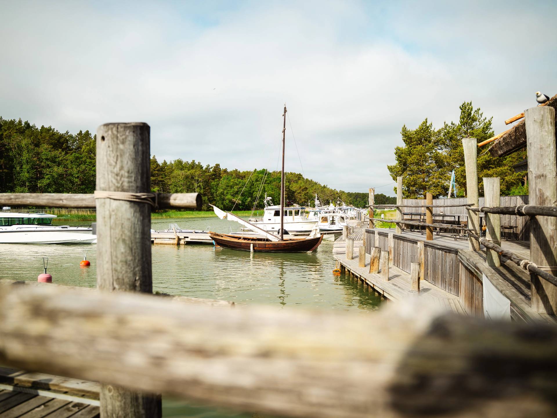 Peterzéns harbour boats