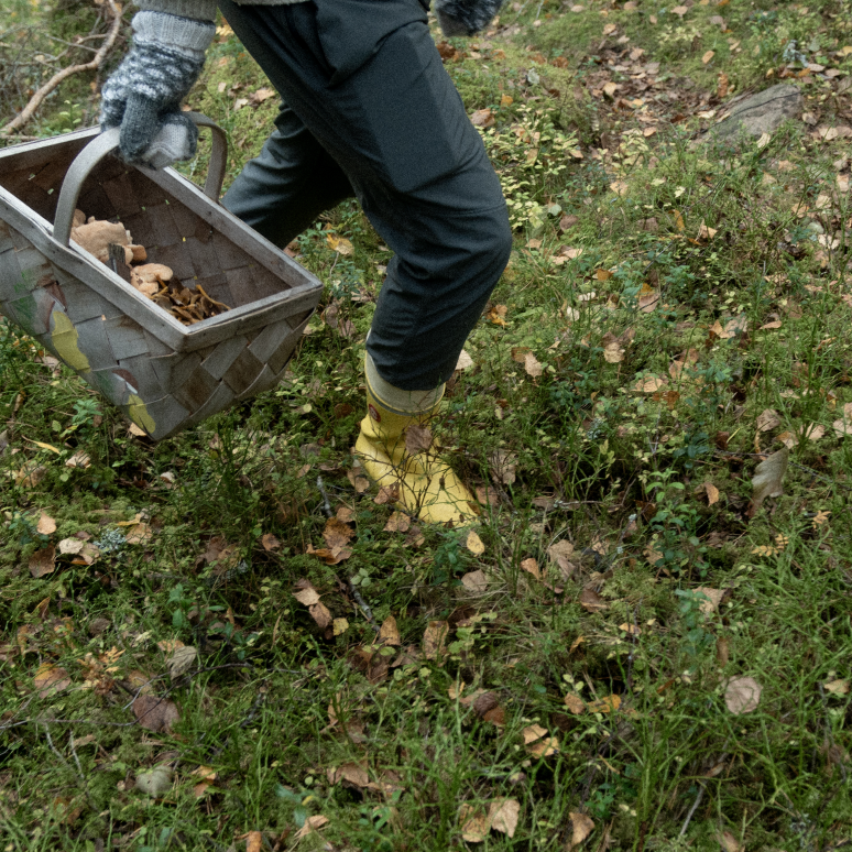 A person's legs seen as they collect mushrooms in a Finnish forest