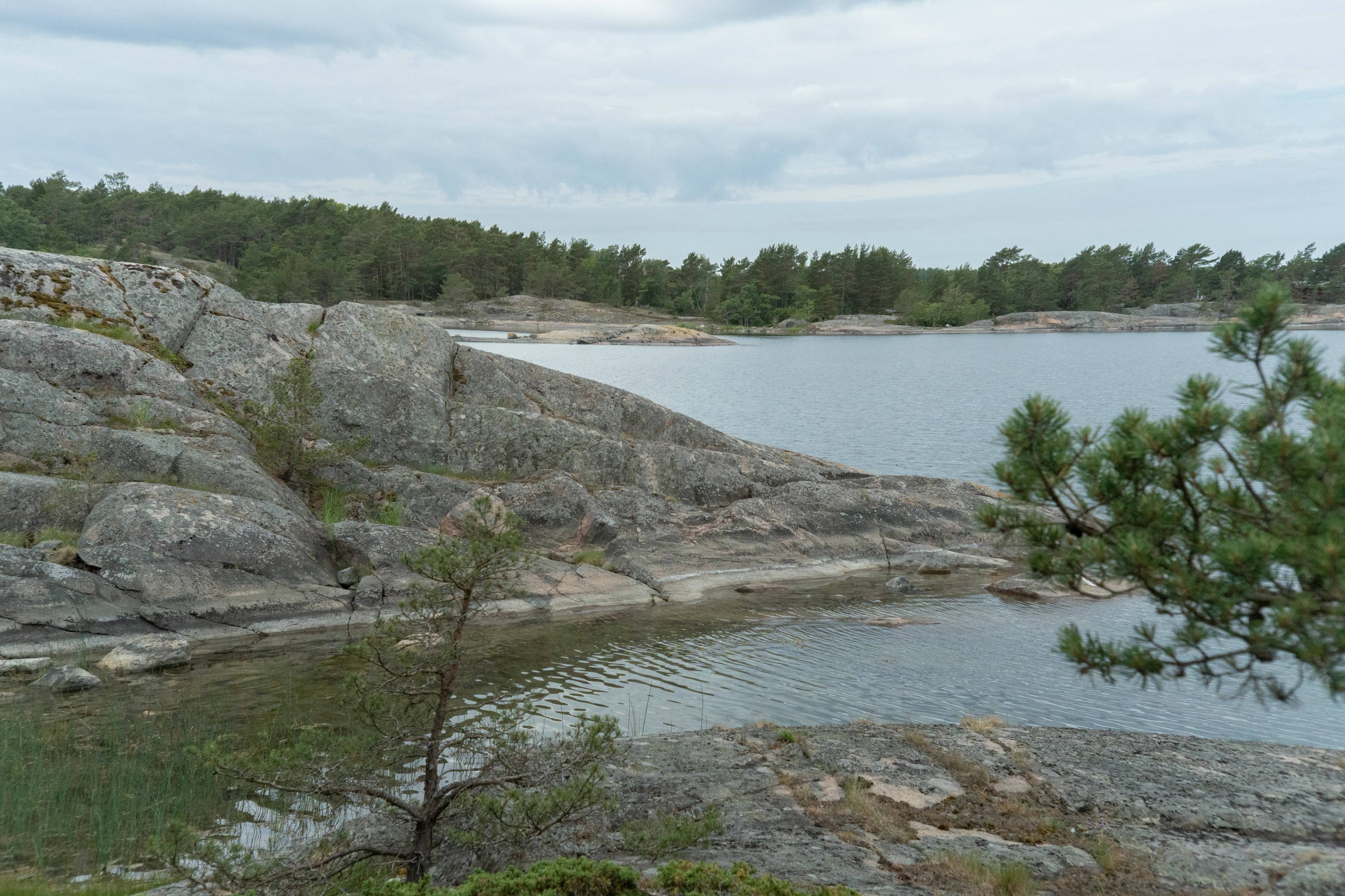 Archipelago shoreline