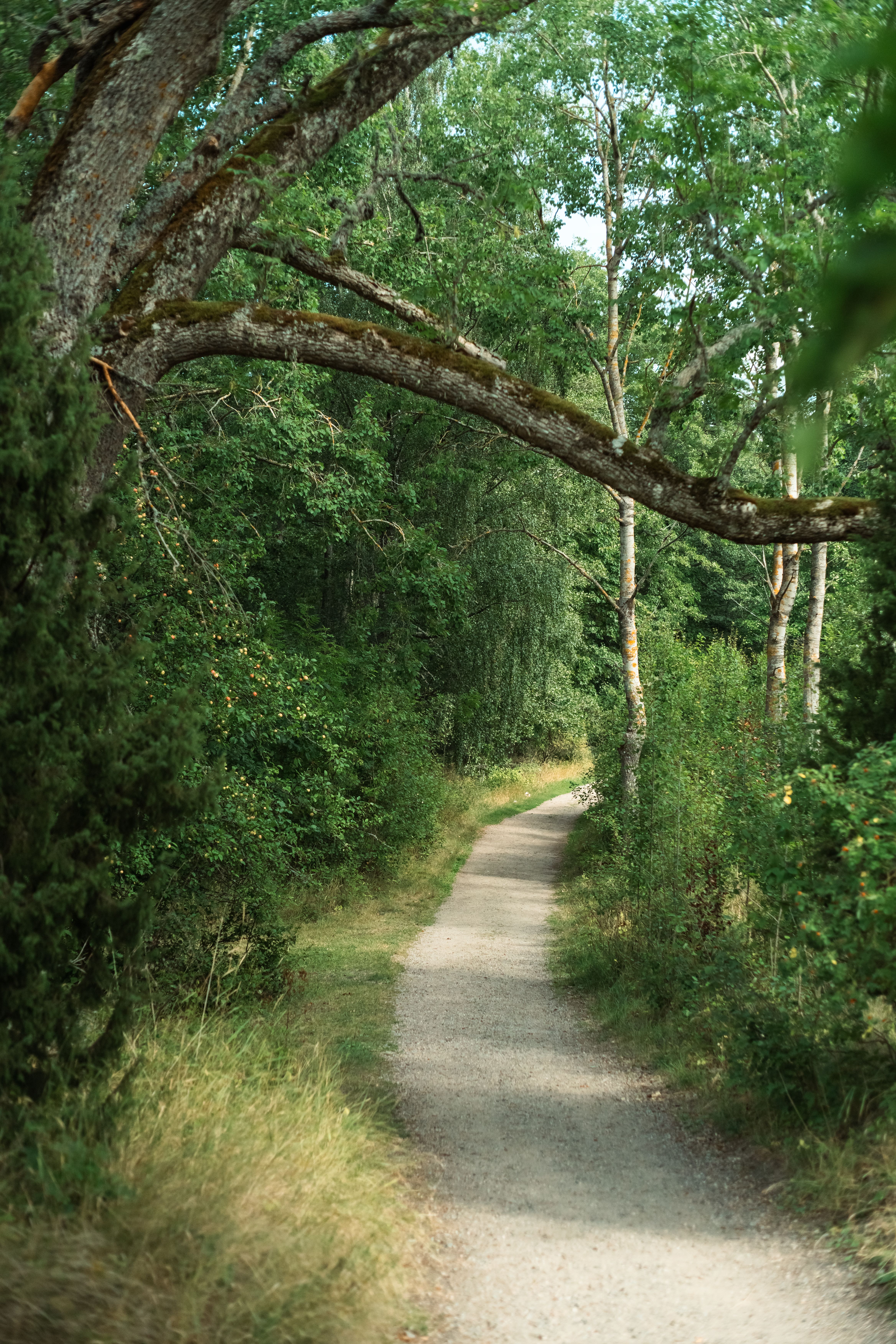 A path on Seili island.