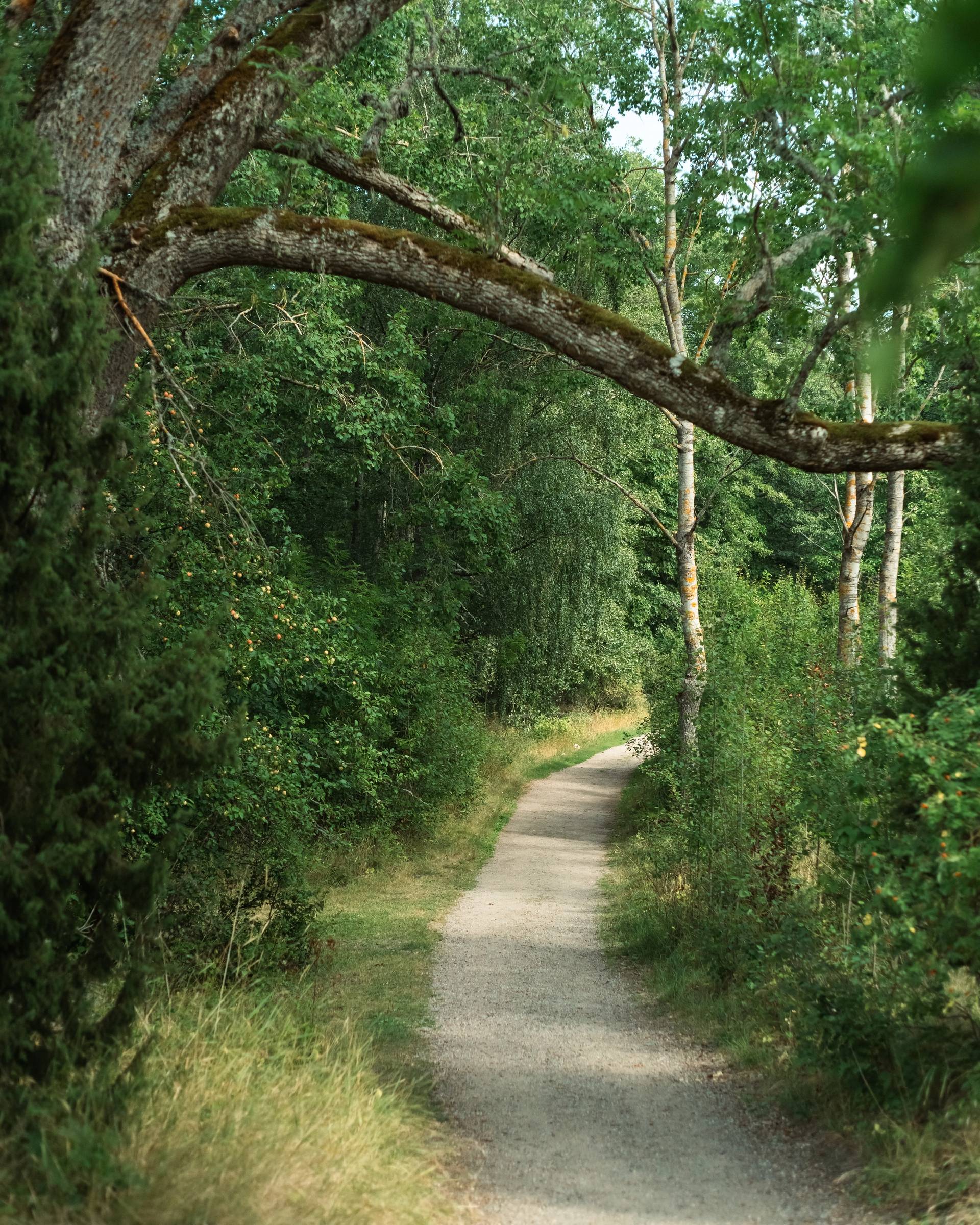 A path on Seili island.
