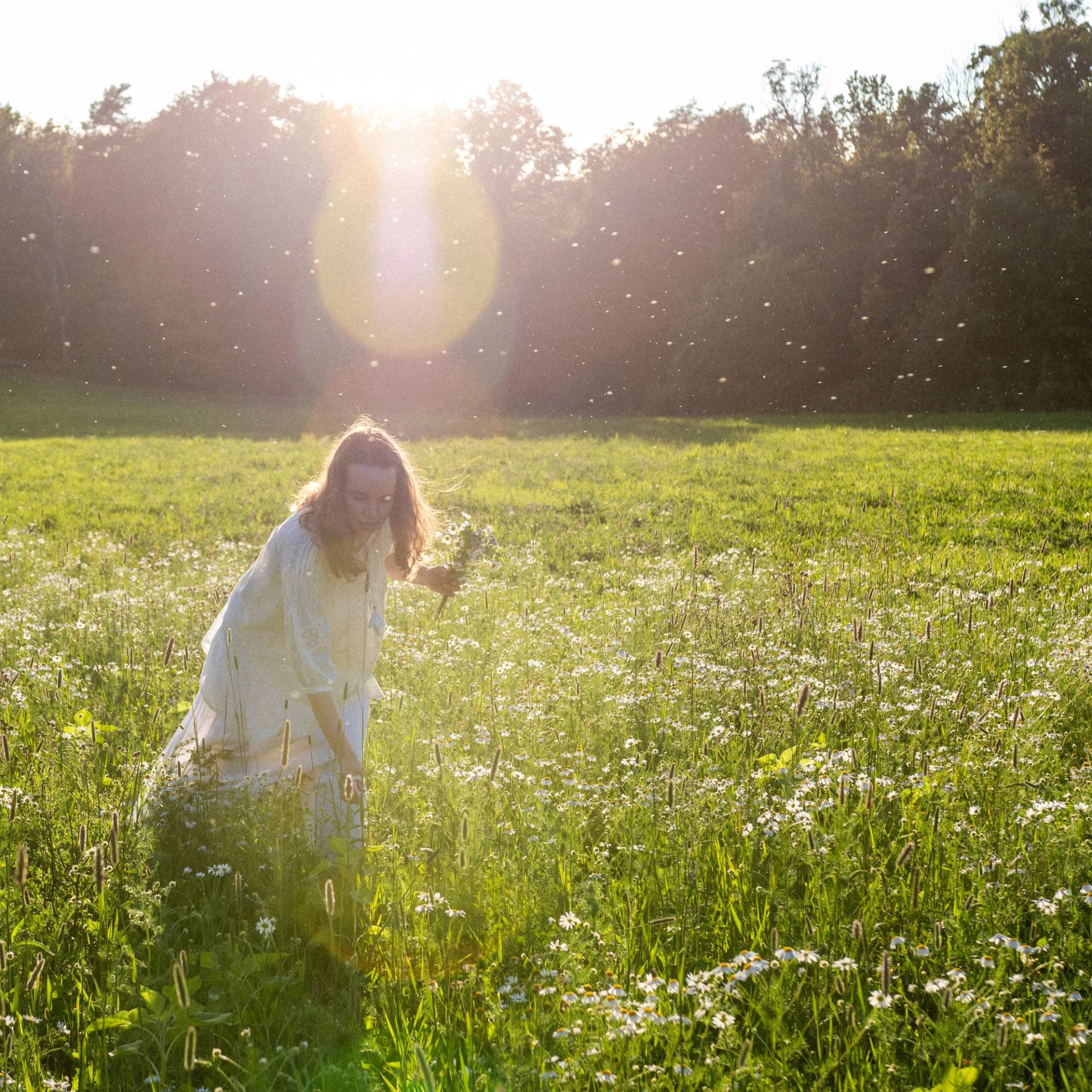 A girl touching flowers.
