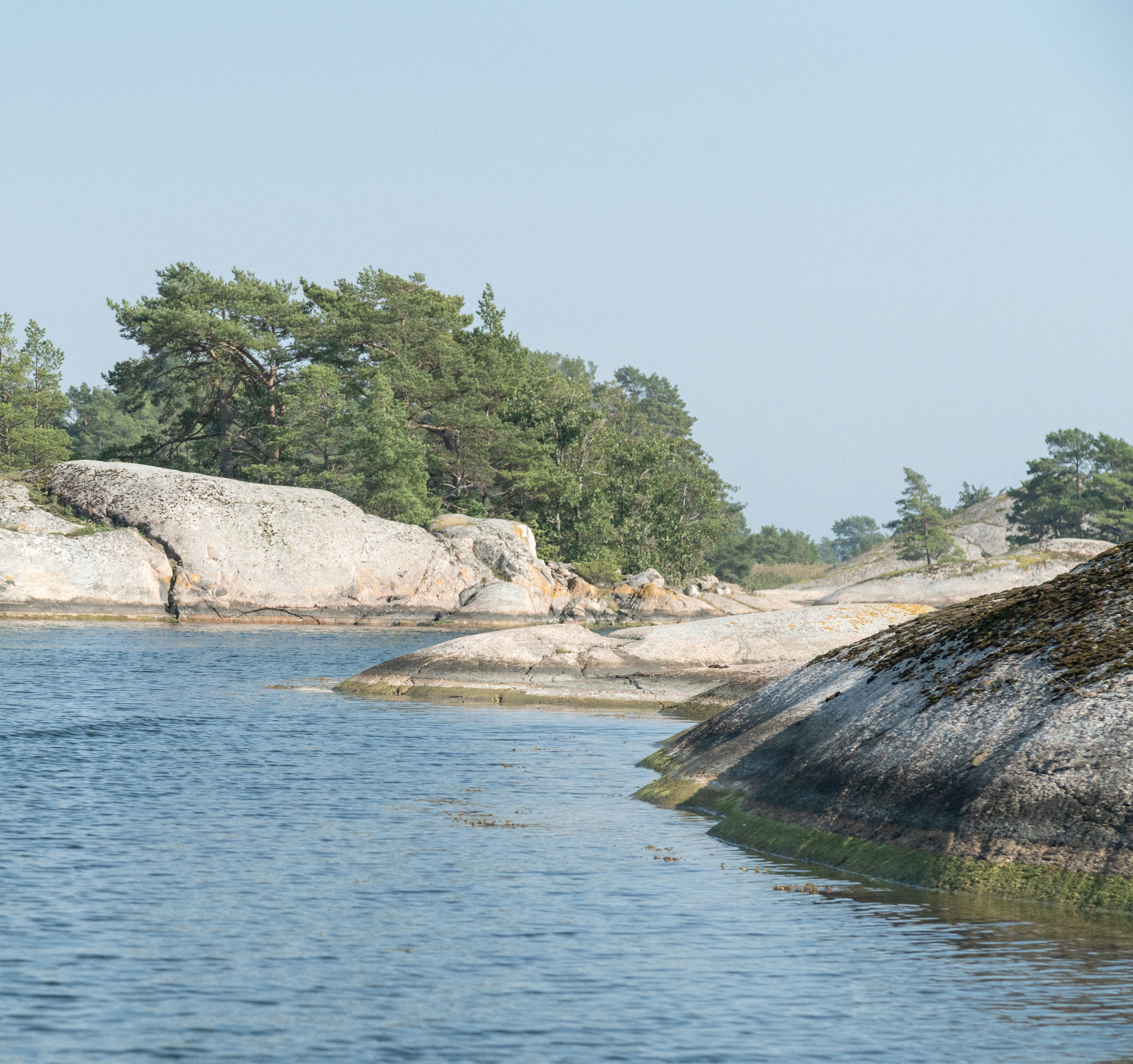 A rocky shore