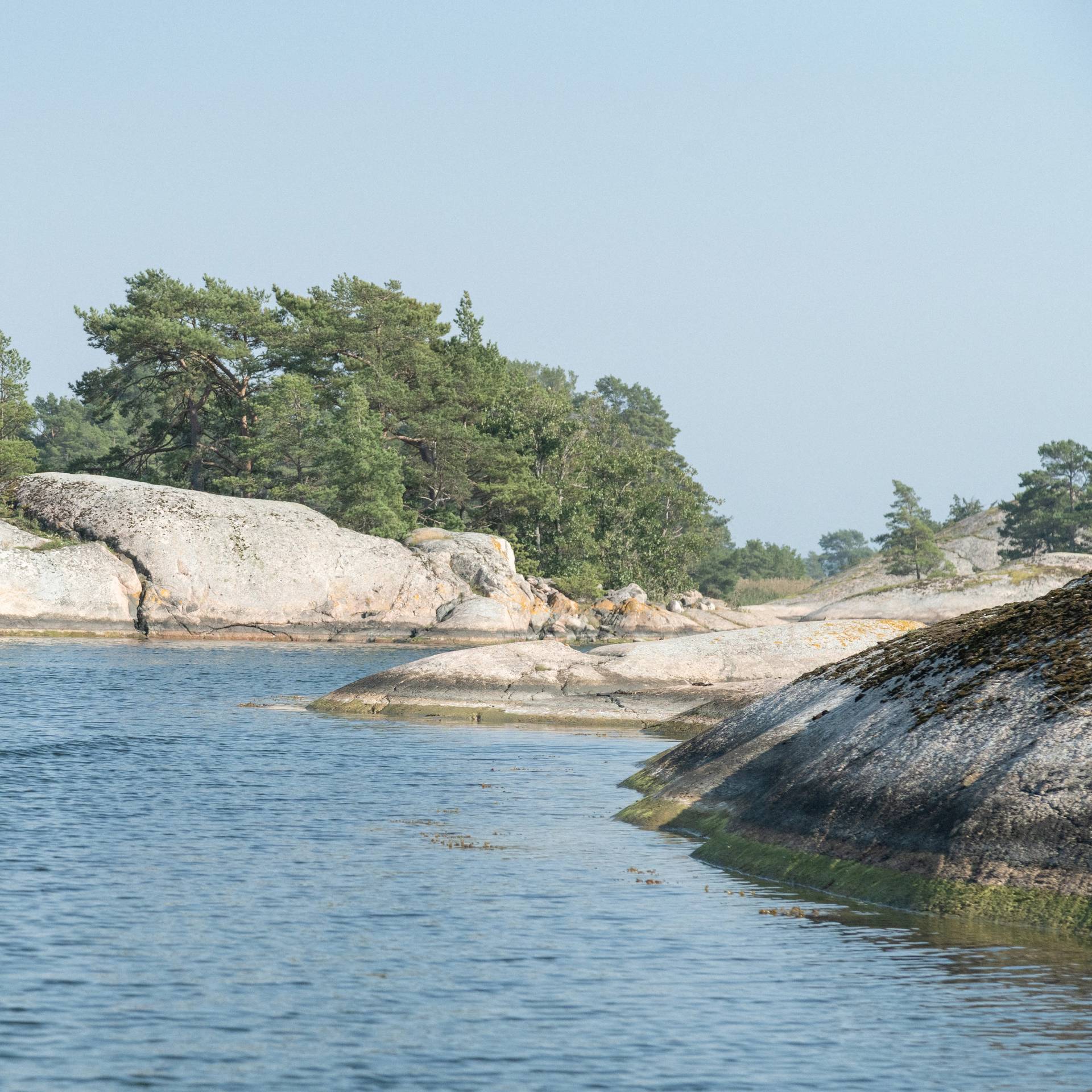 A rocky shore