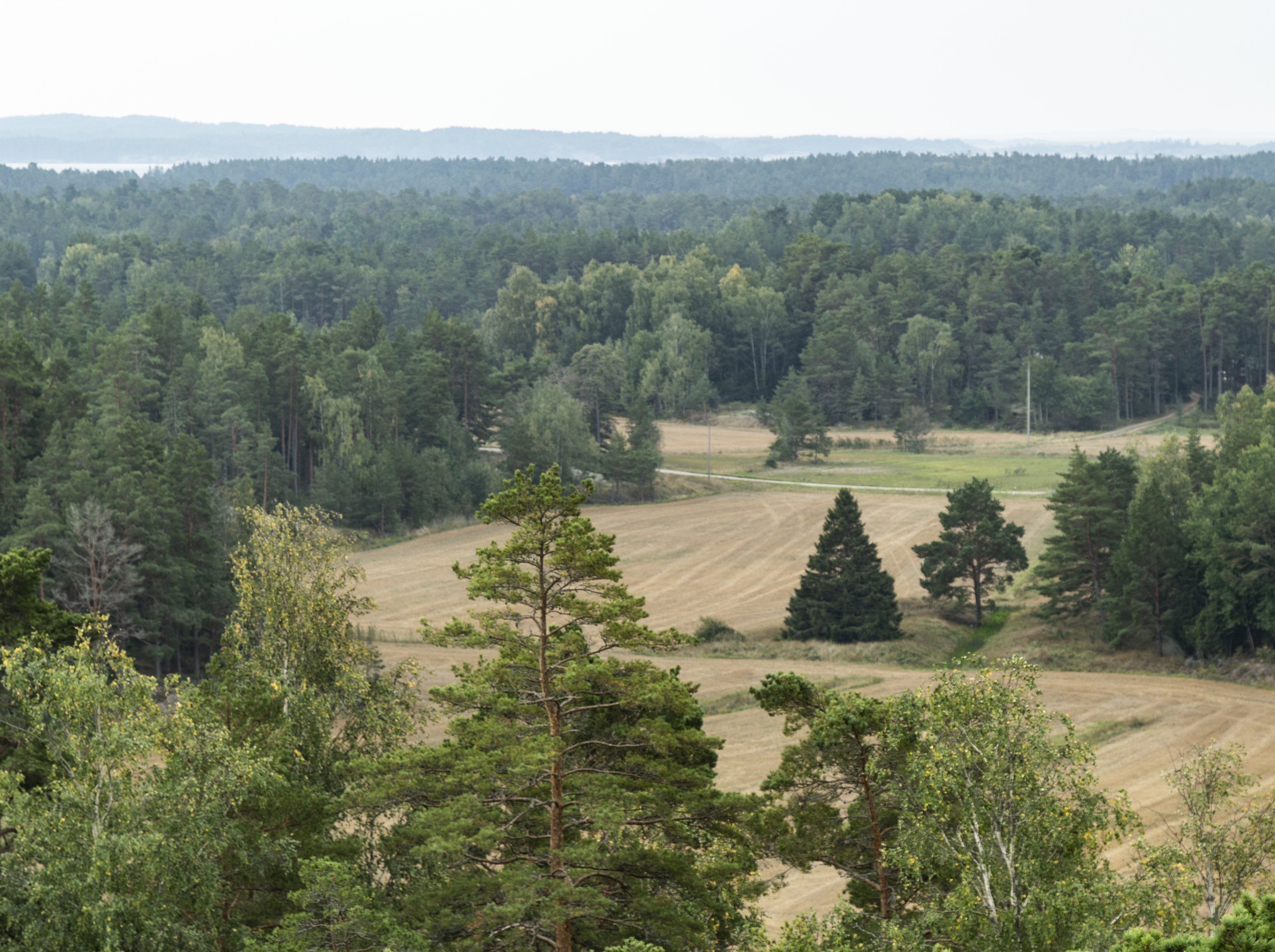 A view from the Borgberg Observation Tower.