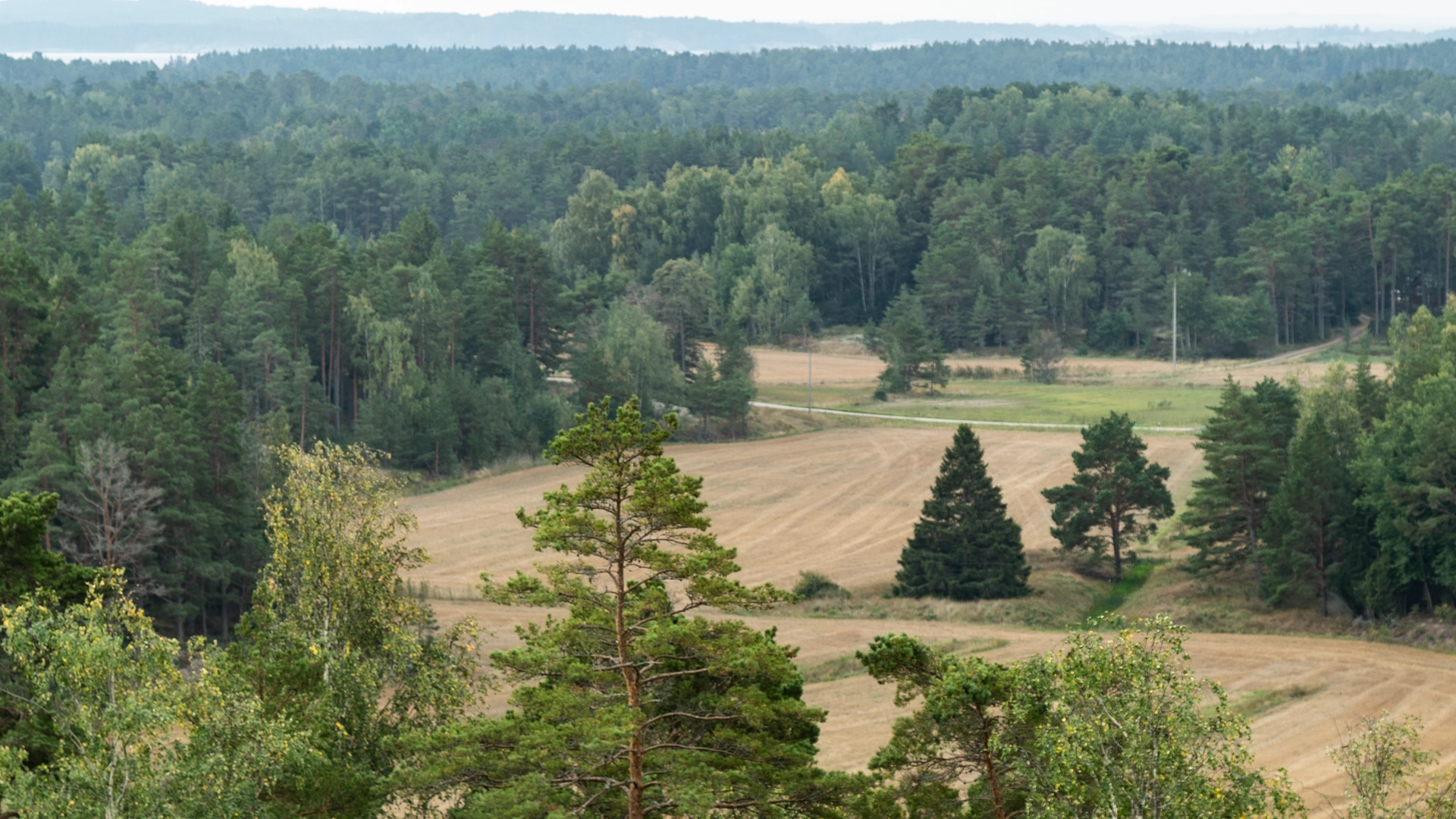 A view from the Borgberg Observation Tower.