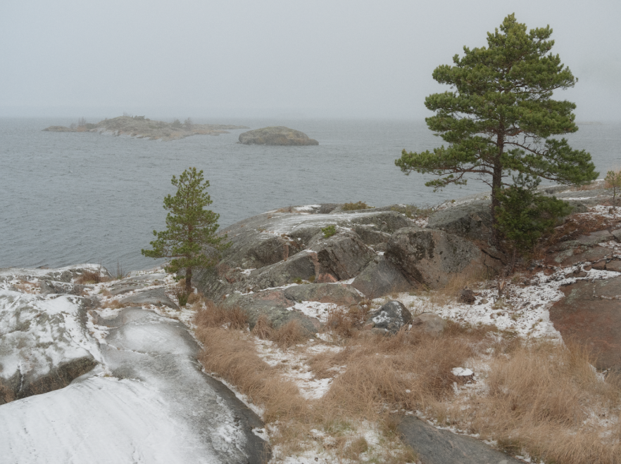 An island landscape in the winter.