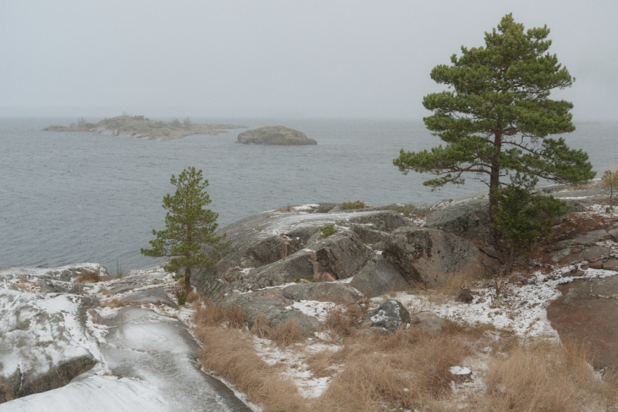 An island landscape in the winter.