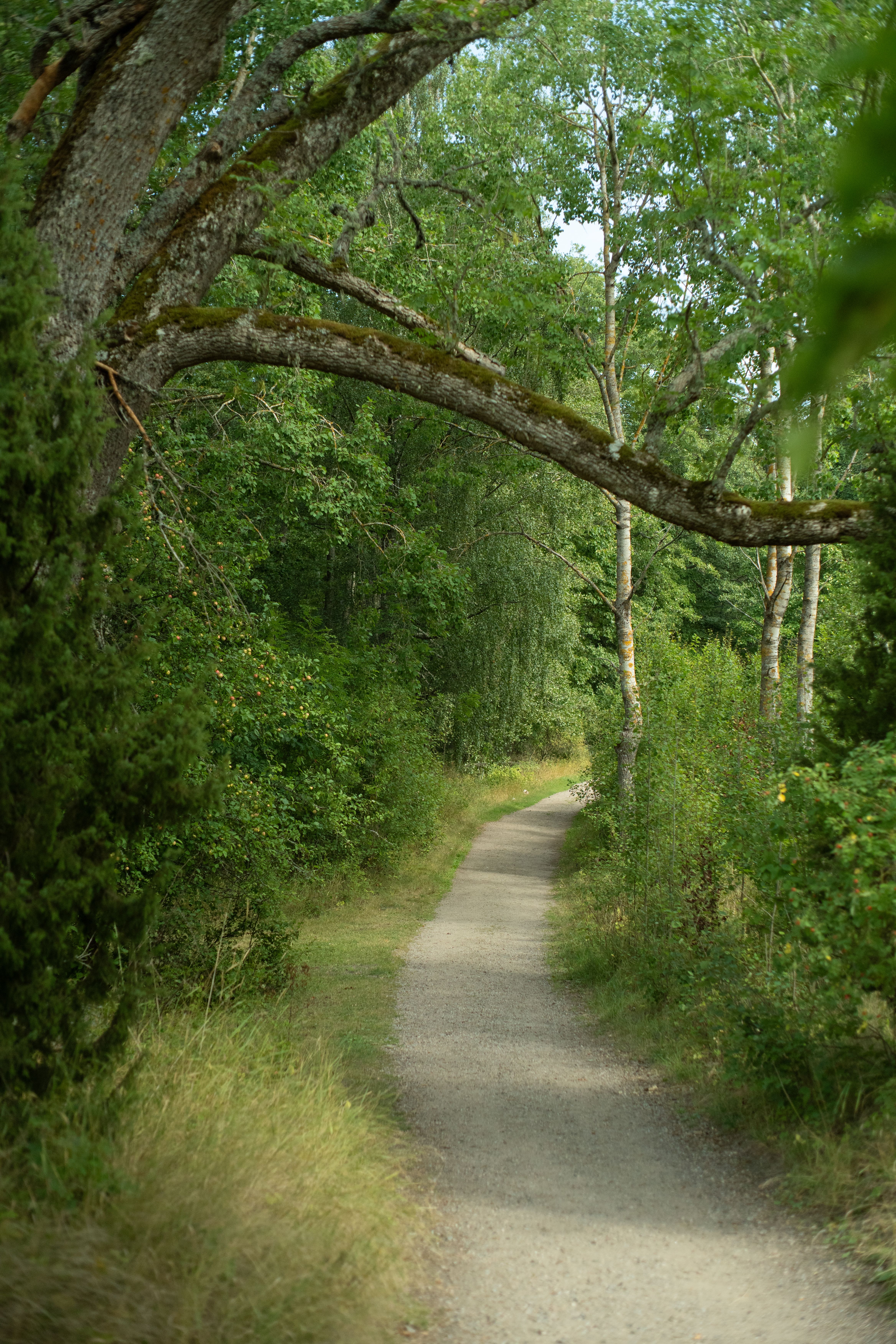 Nature trails in Seili.