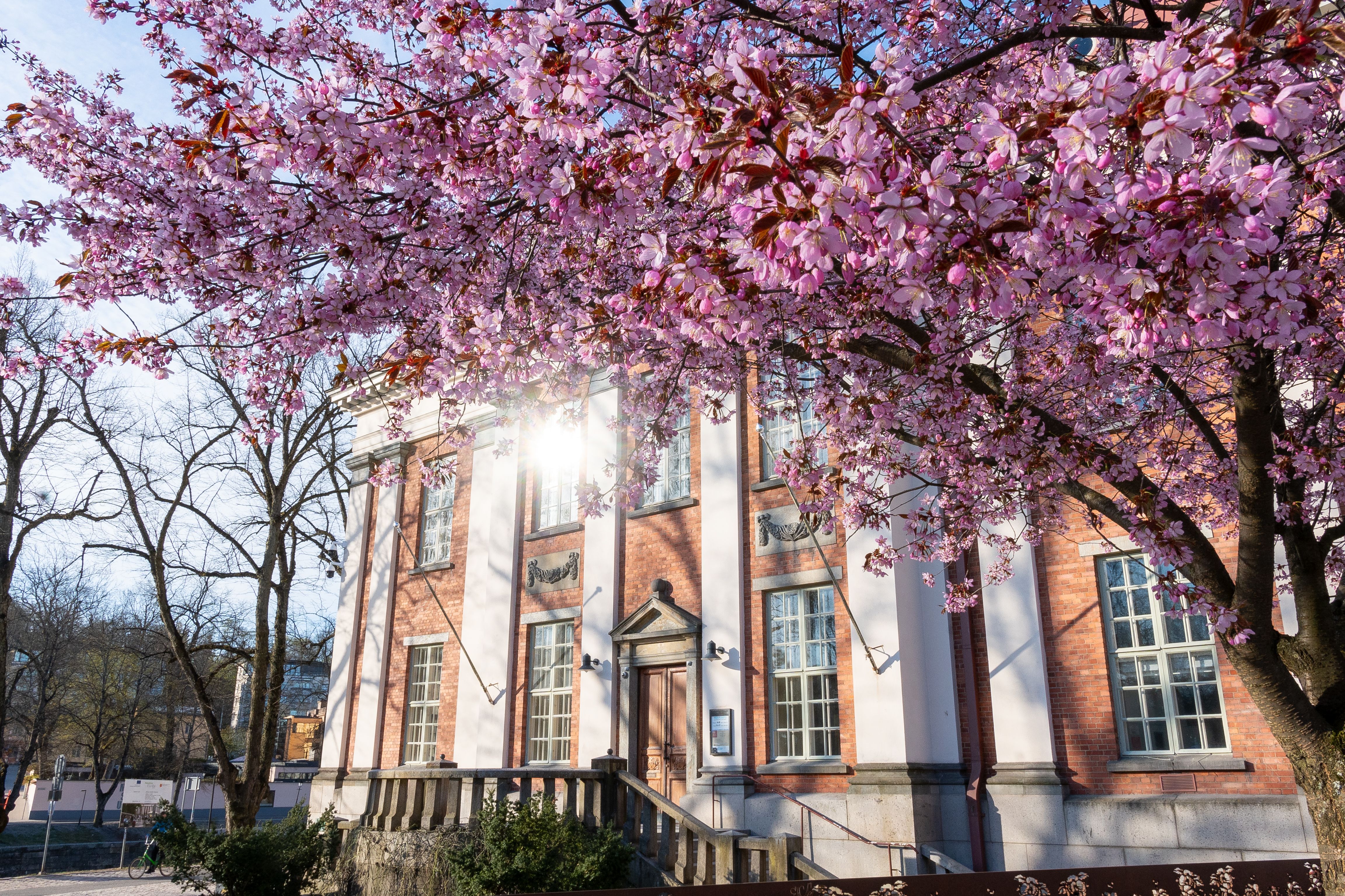 Turku library