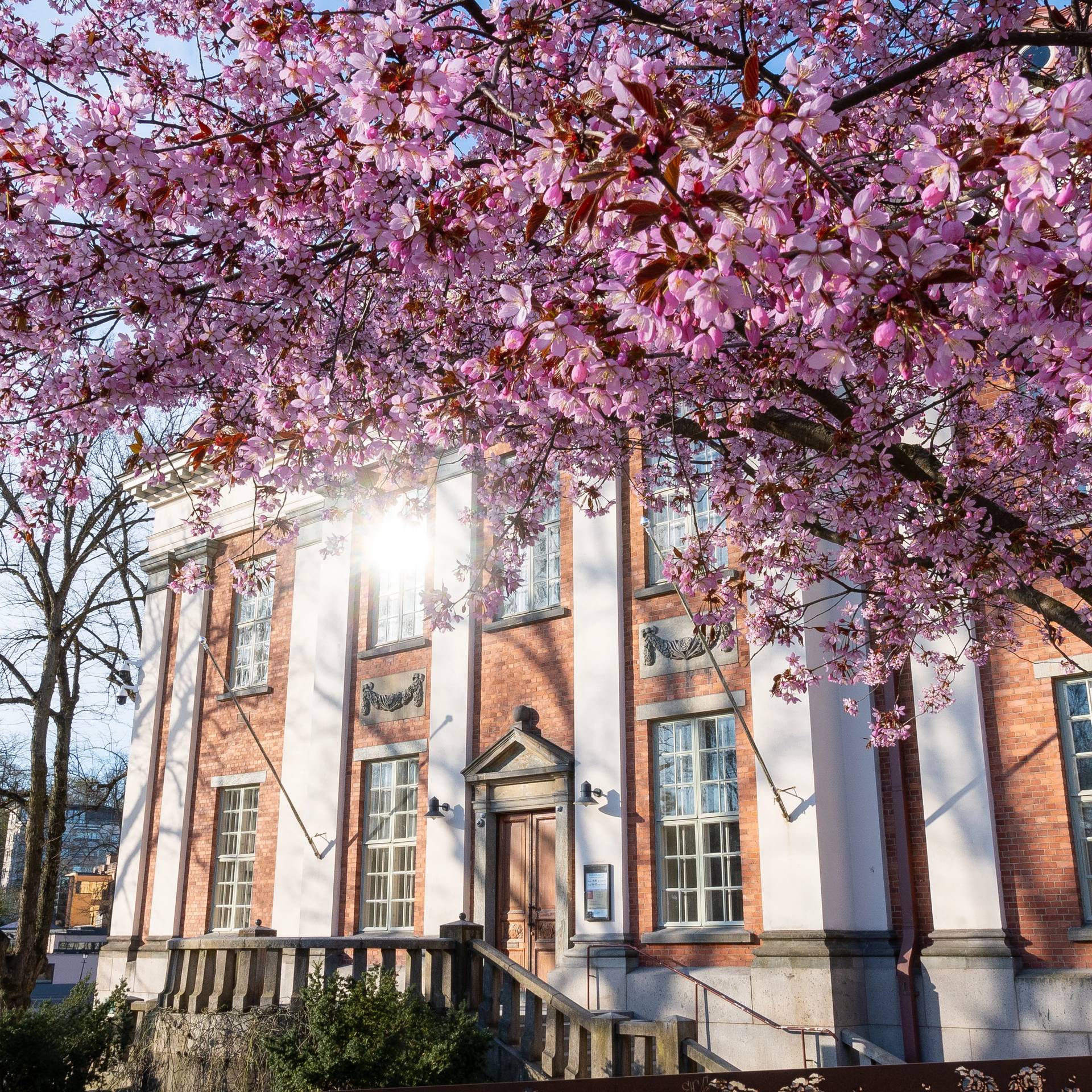 Turku library