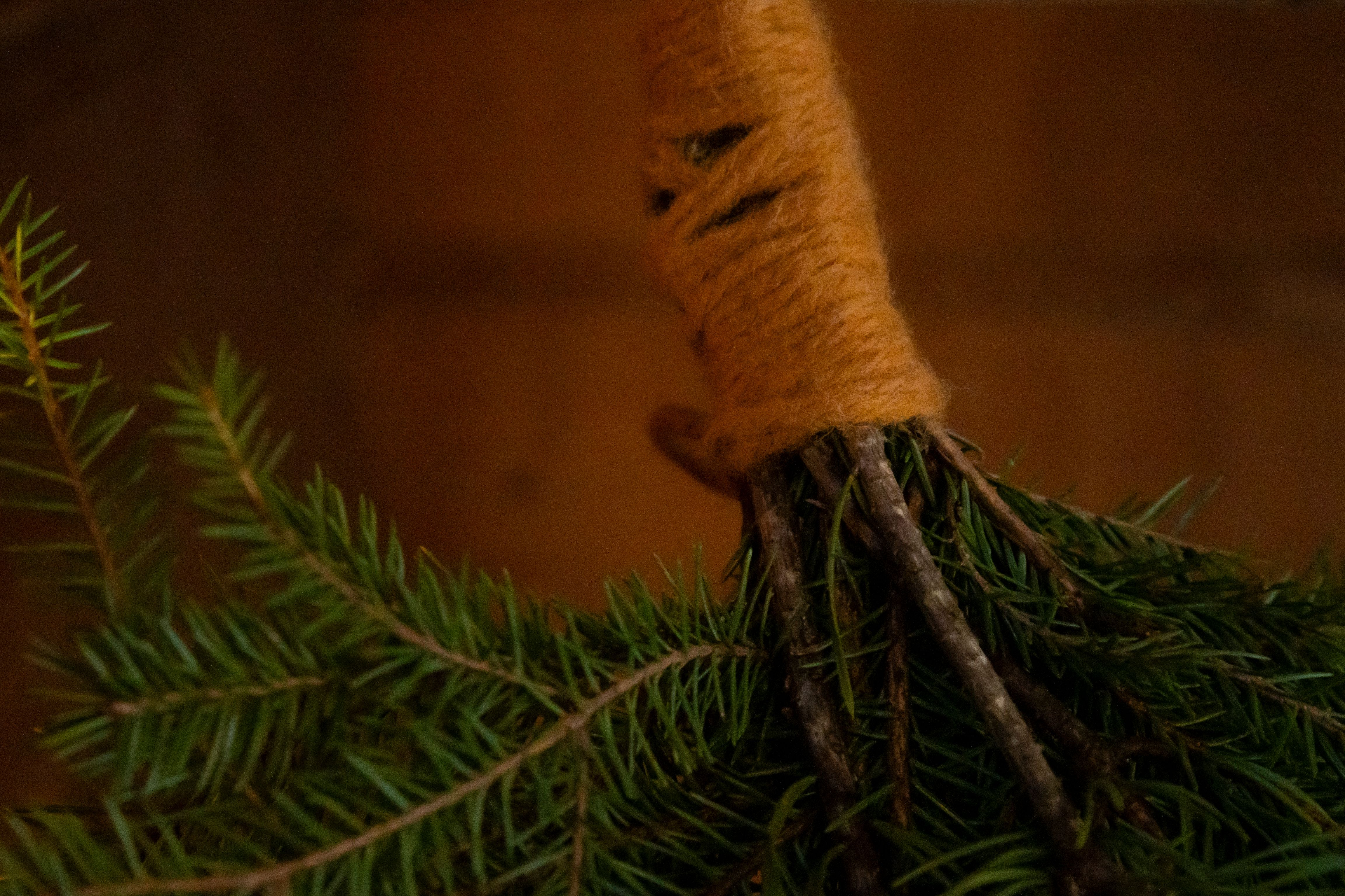 A whisk made of wooden branches.