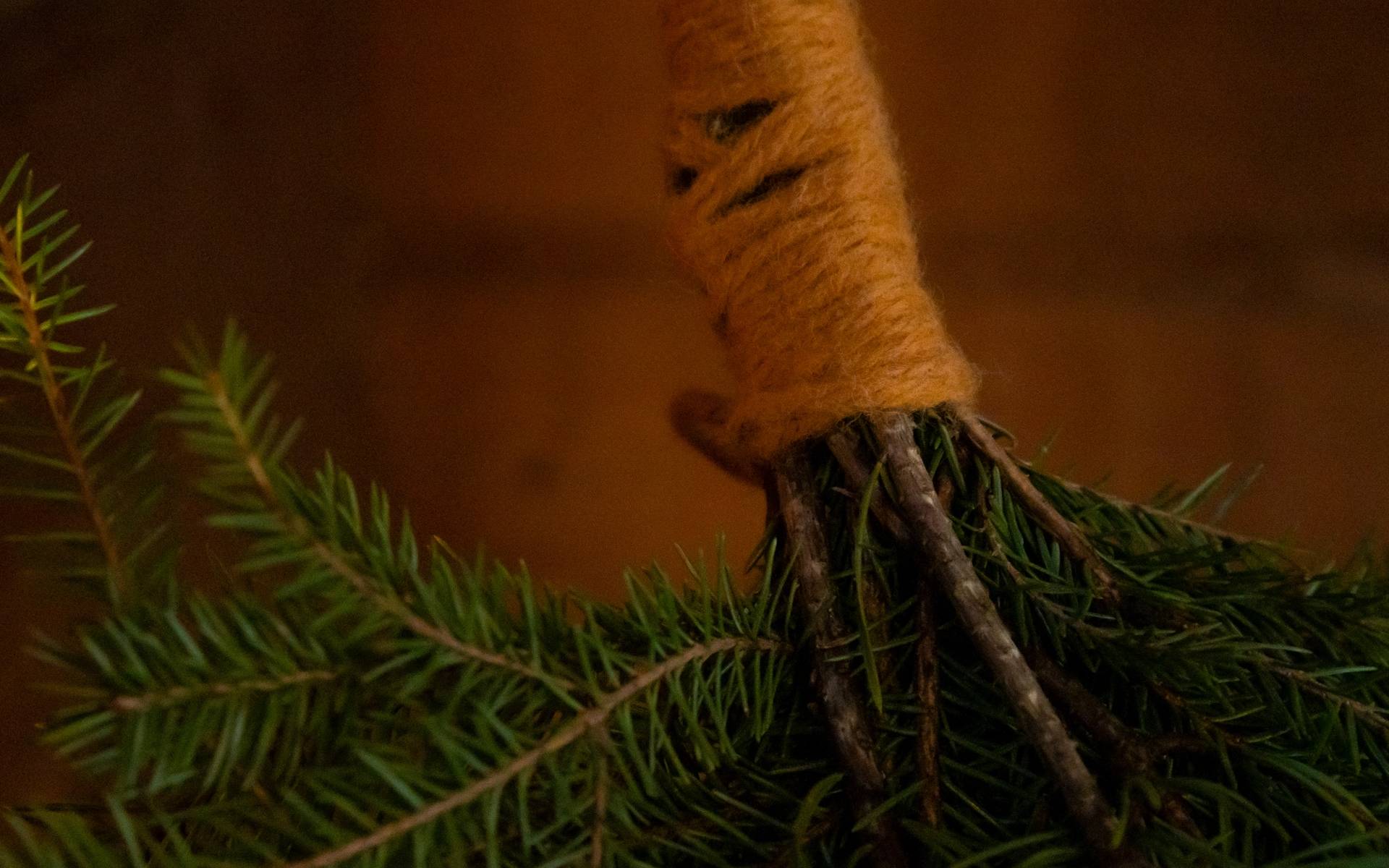 A whisk made of wooden branches.