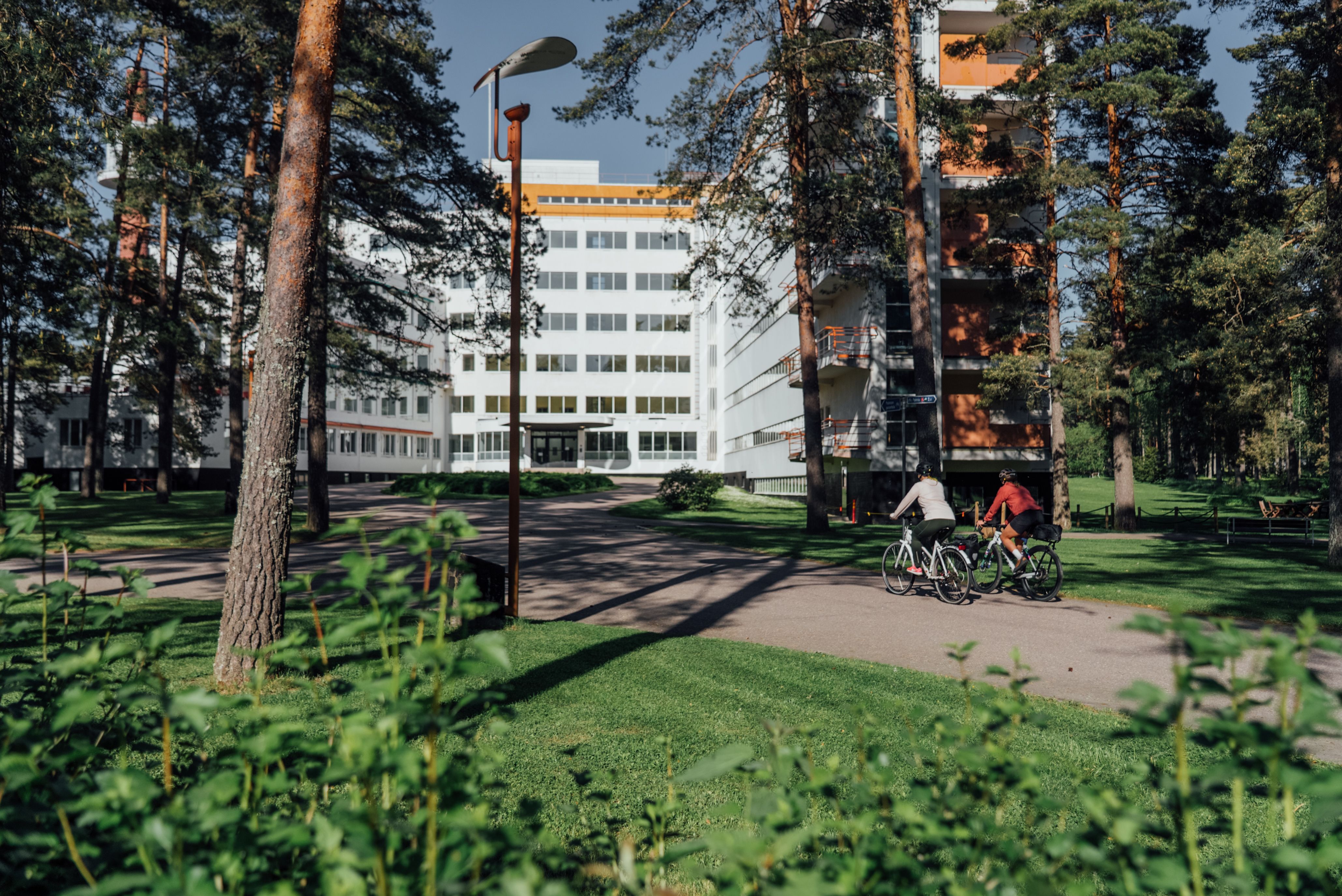 A couple biking through the pine forest towards Paimio Sanatorium