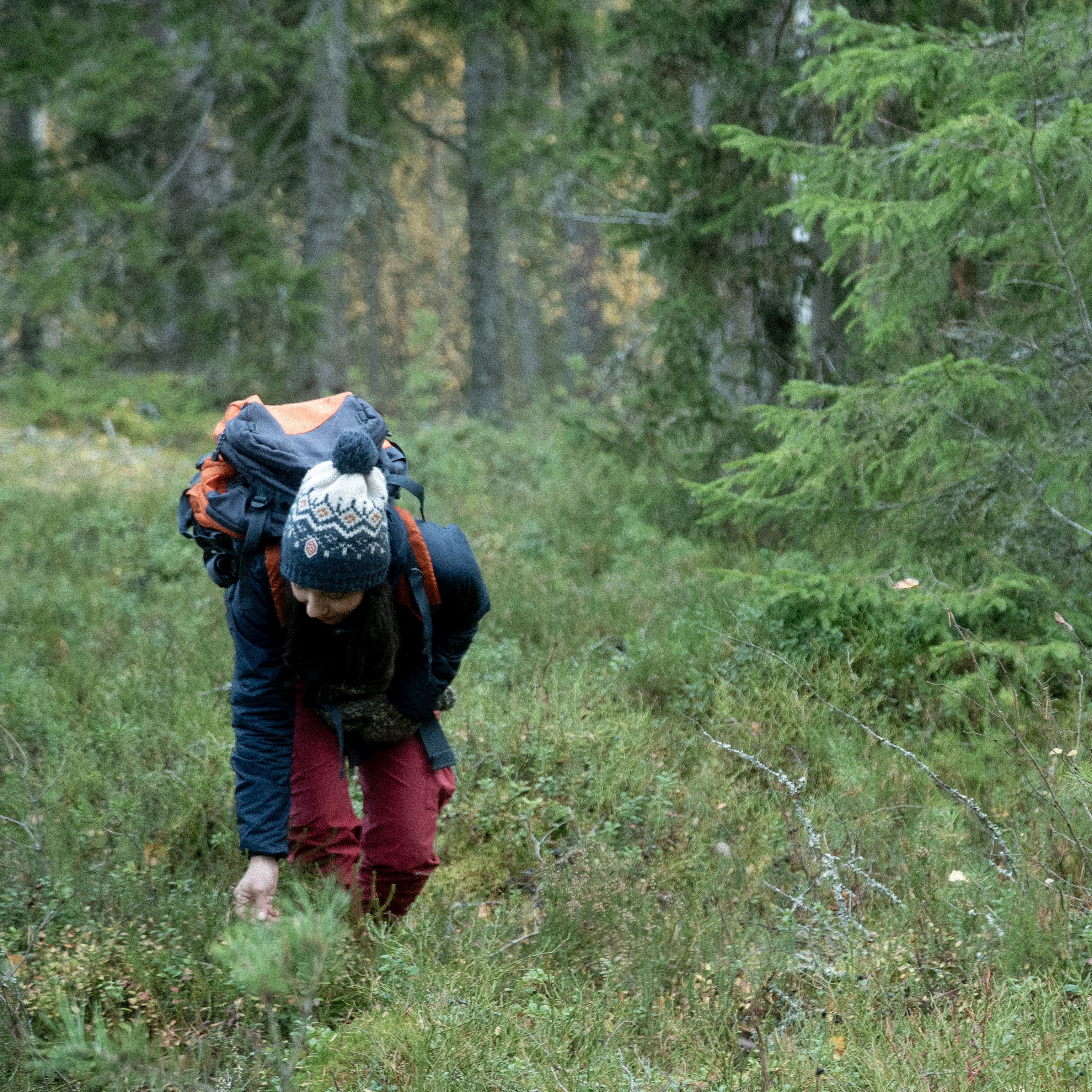 A person picking mushrooms or berries.