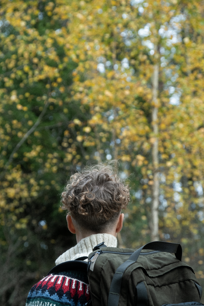 A person standing in the forest with their back turned.