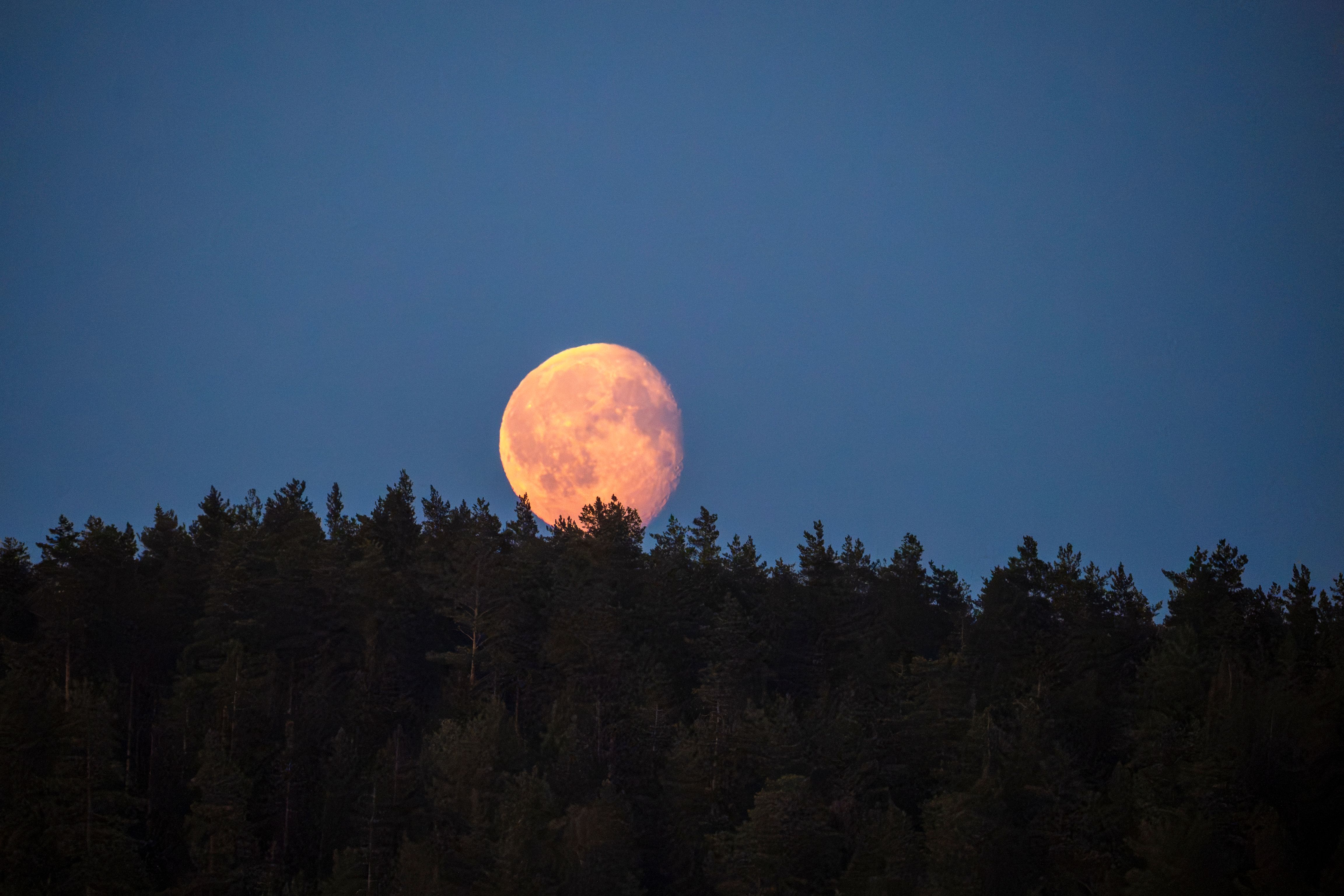 Night sky in Saaristo