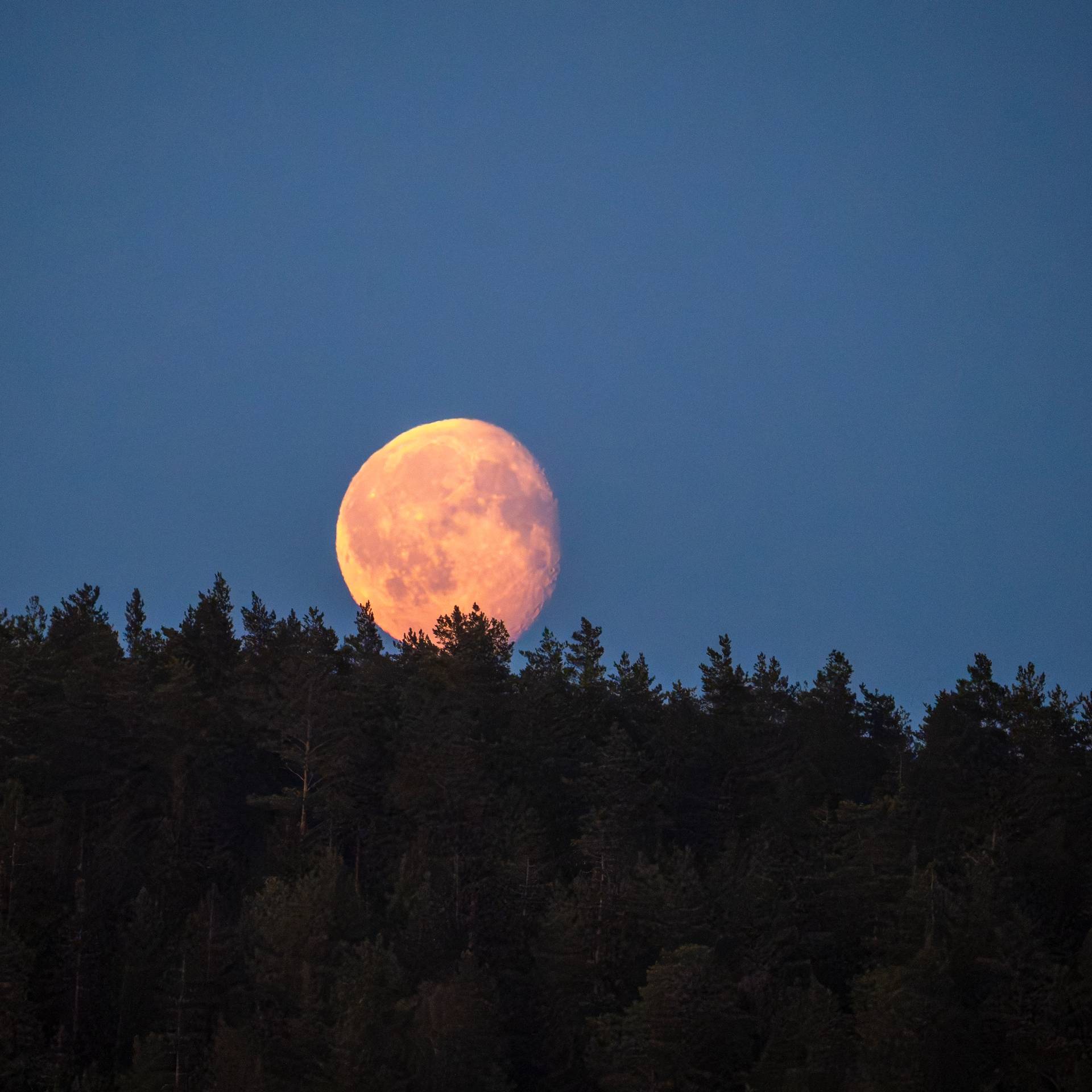 Night sky in Saaristo