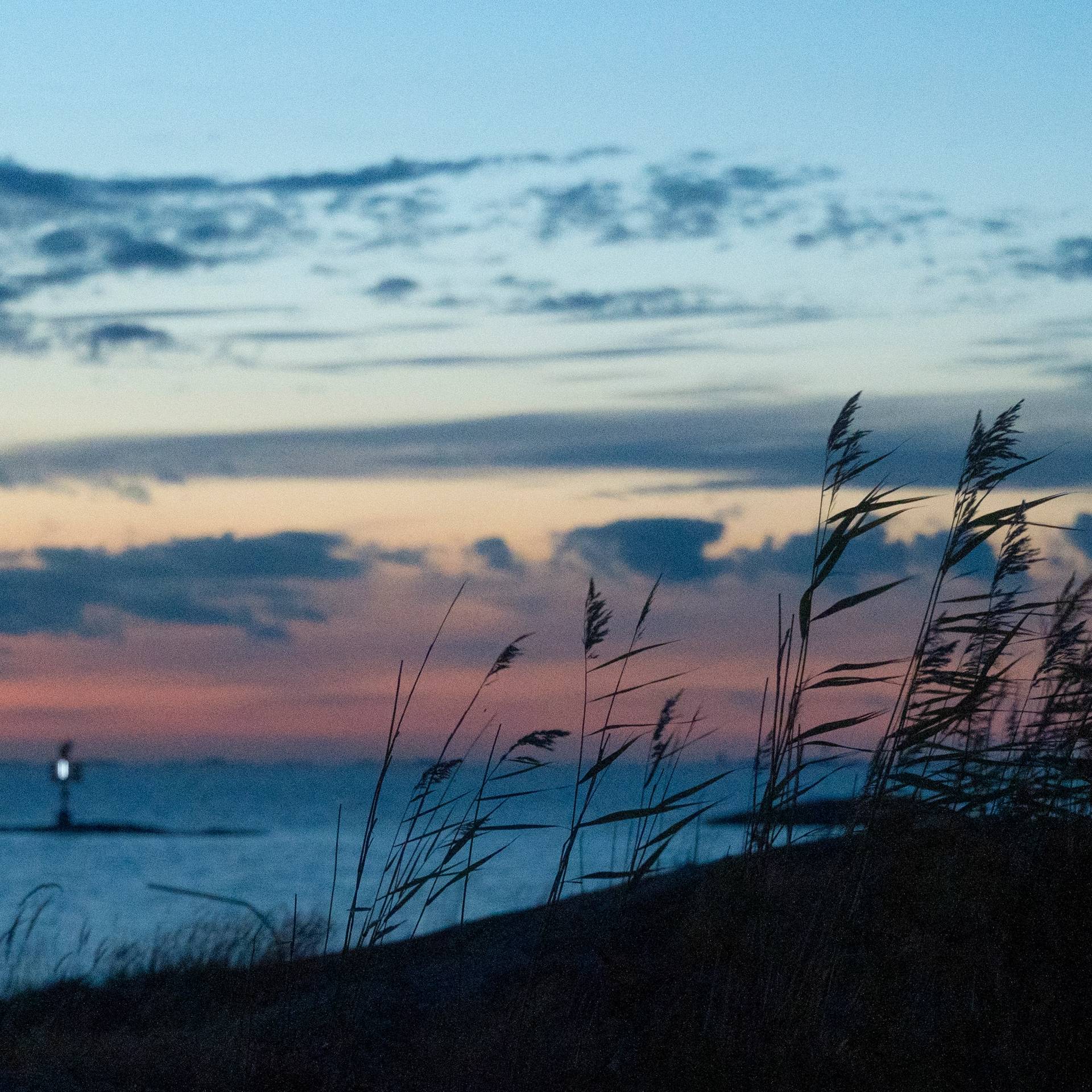 The outer archipelago is a place like no other.