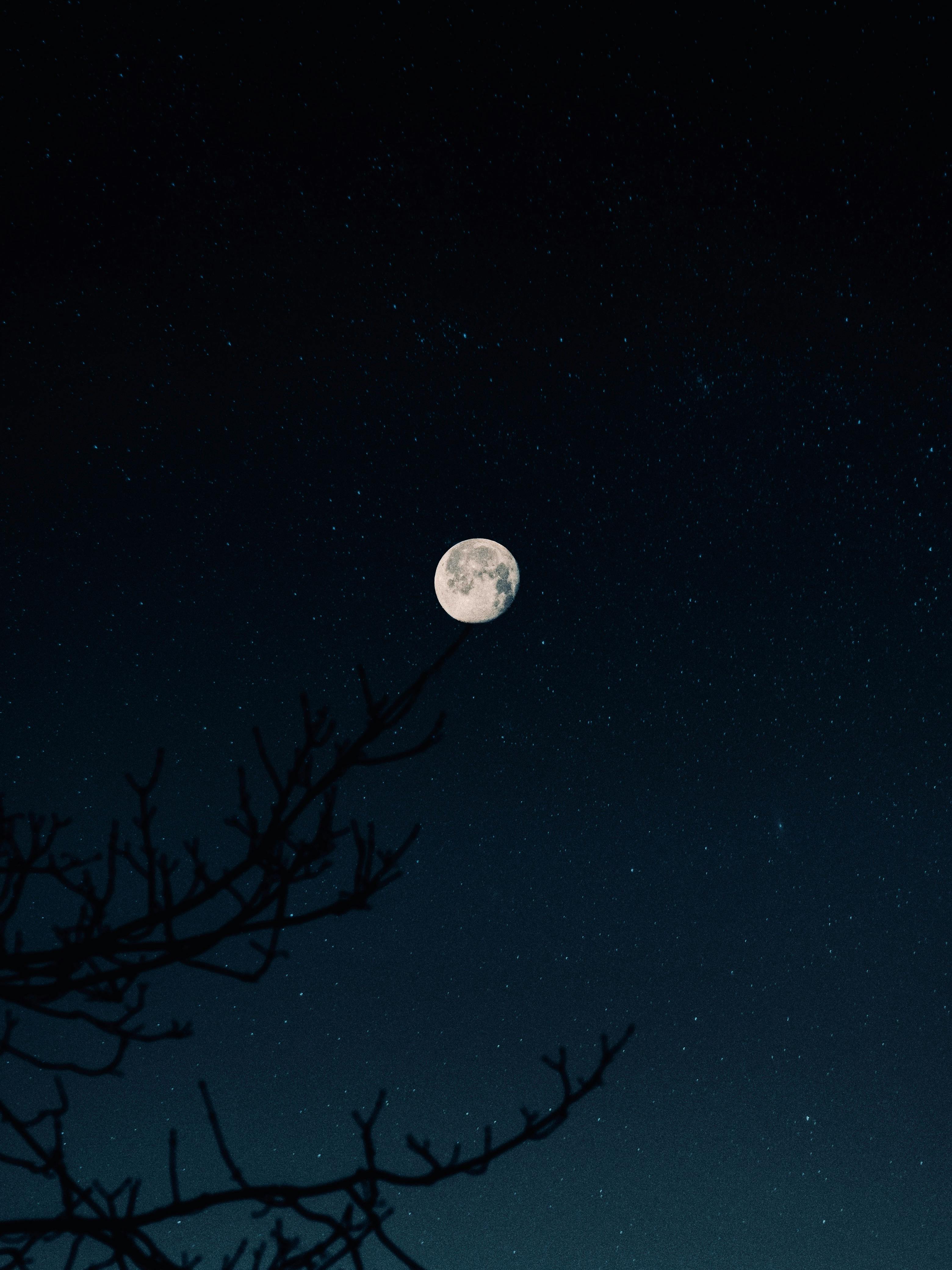 A starry sky and bright moon.