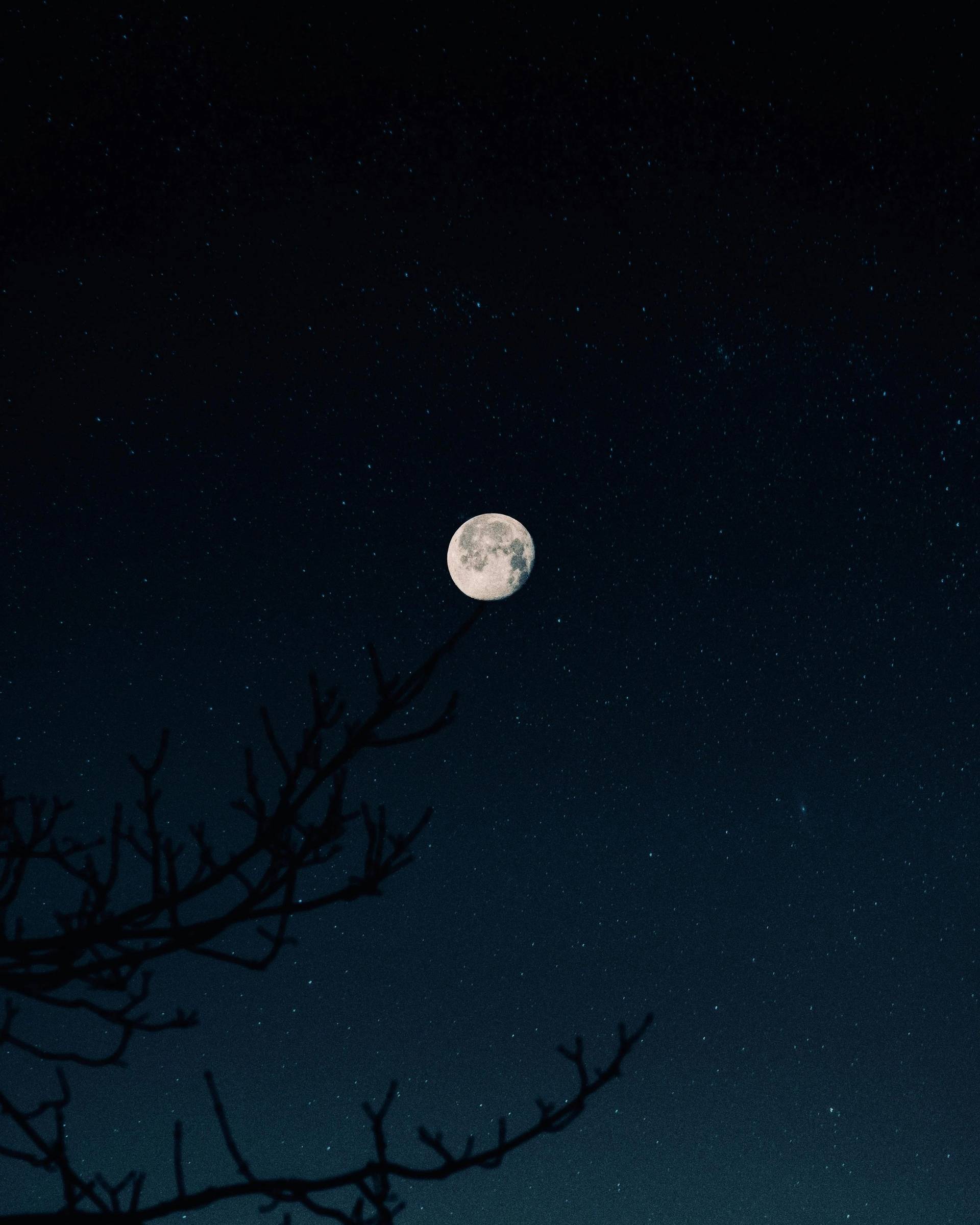 A starry sky and bright moon.