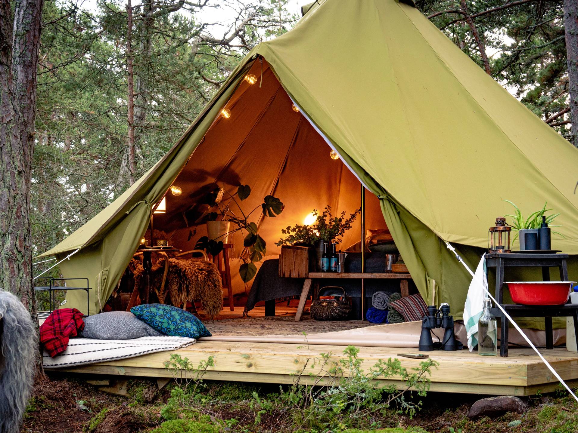 A glamping tent in brännskär.