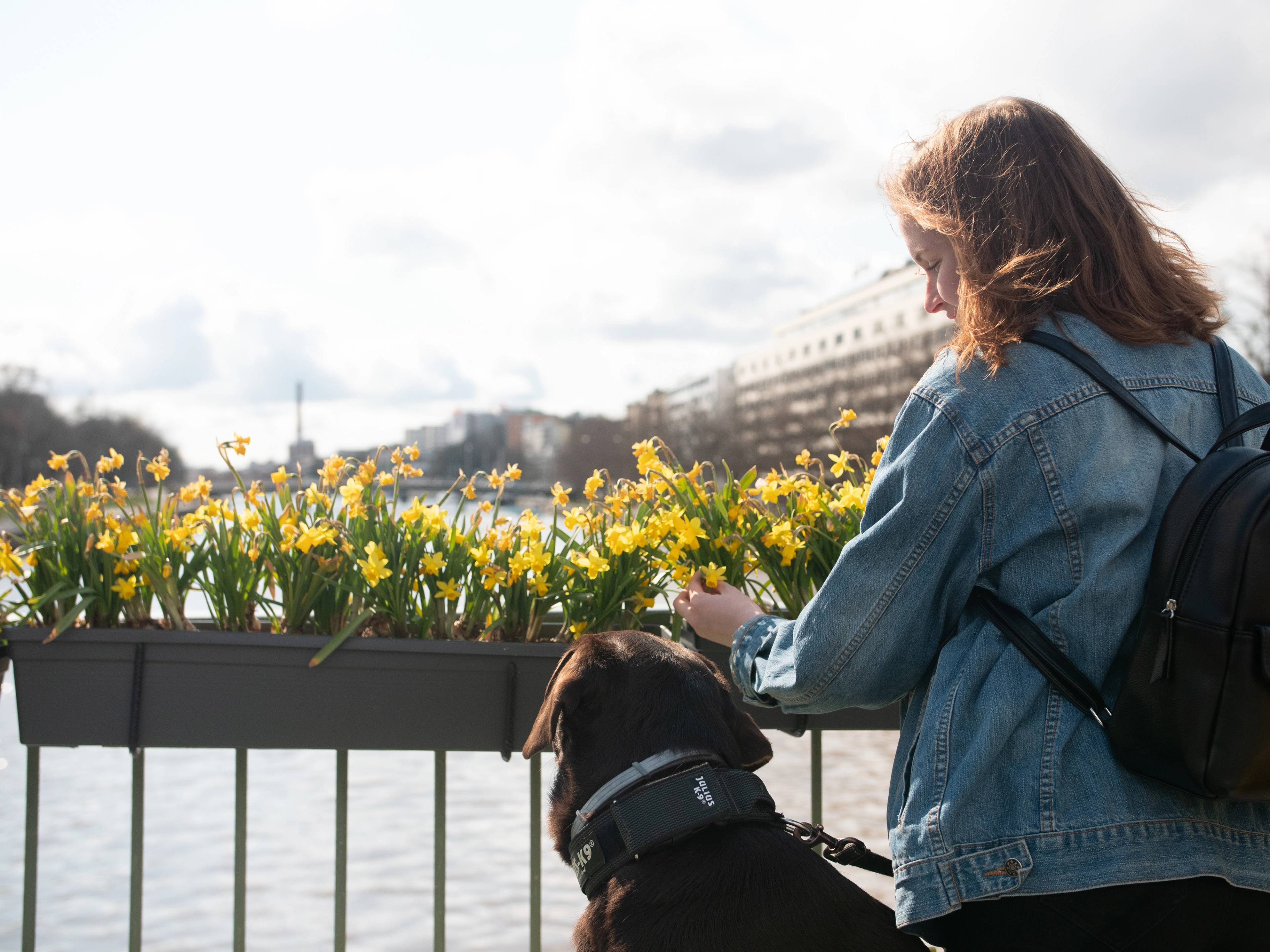 A person and their dog.