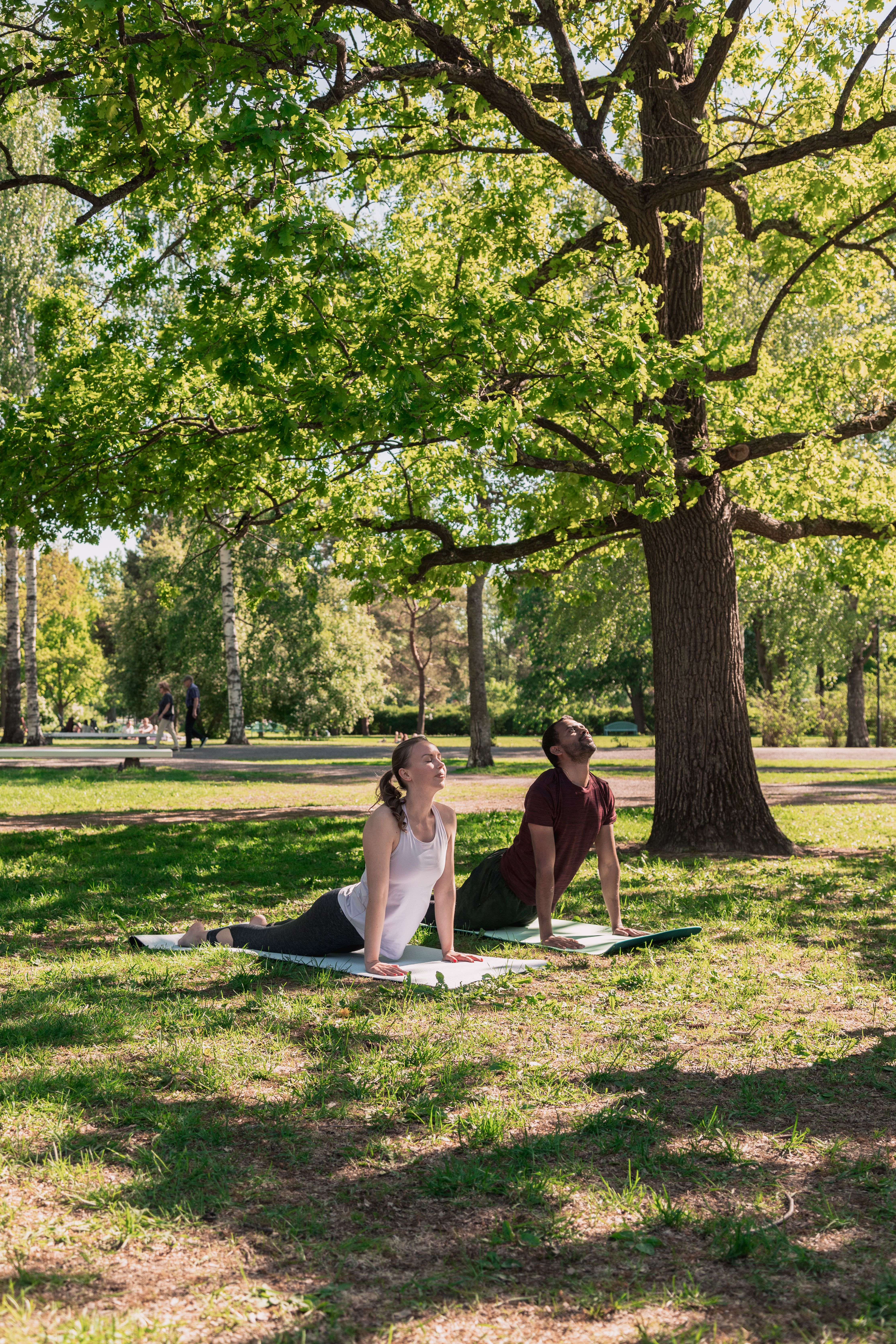 Two people doing yoga.