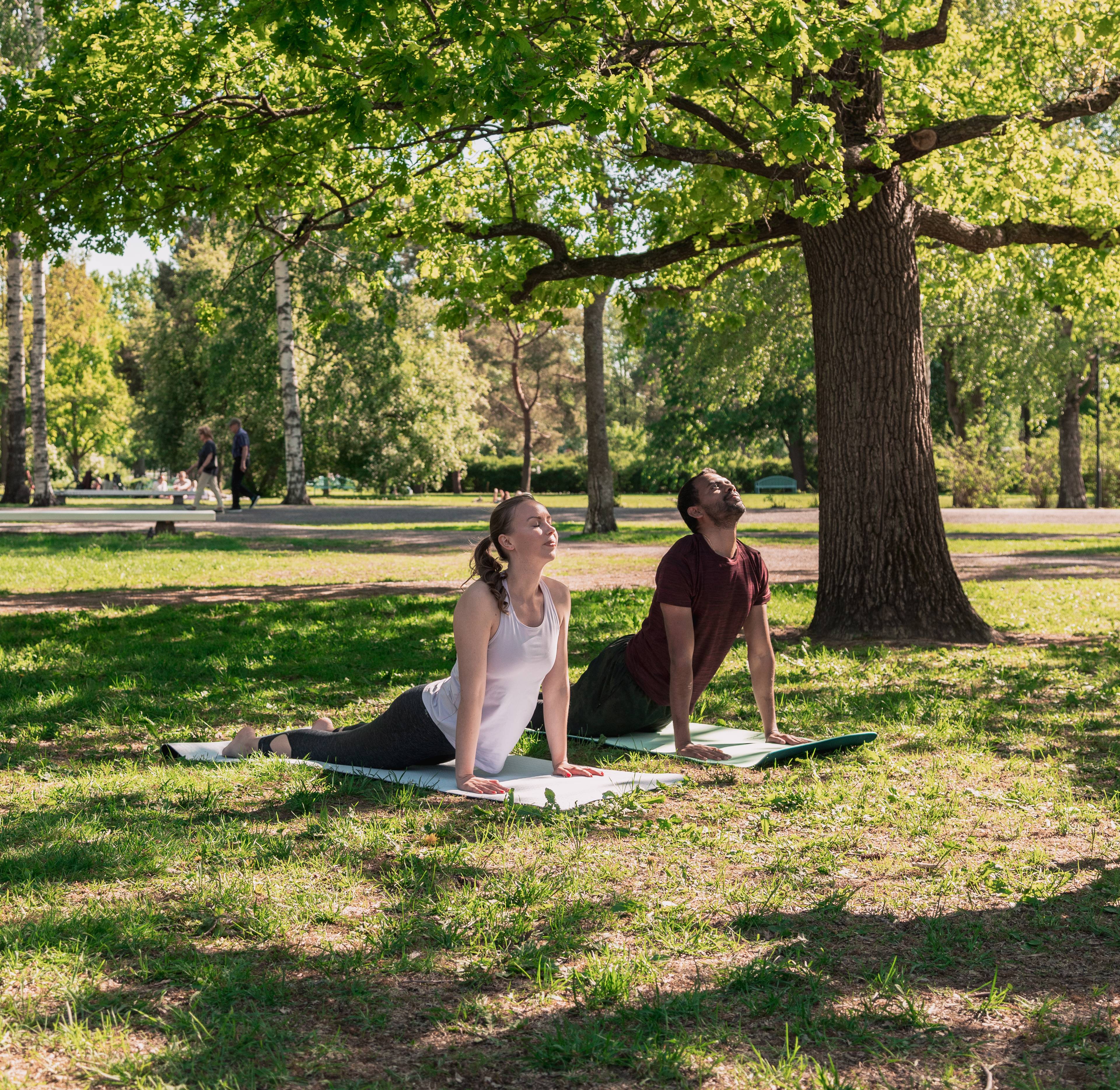 Two people doing yoga.