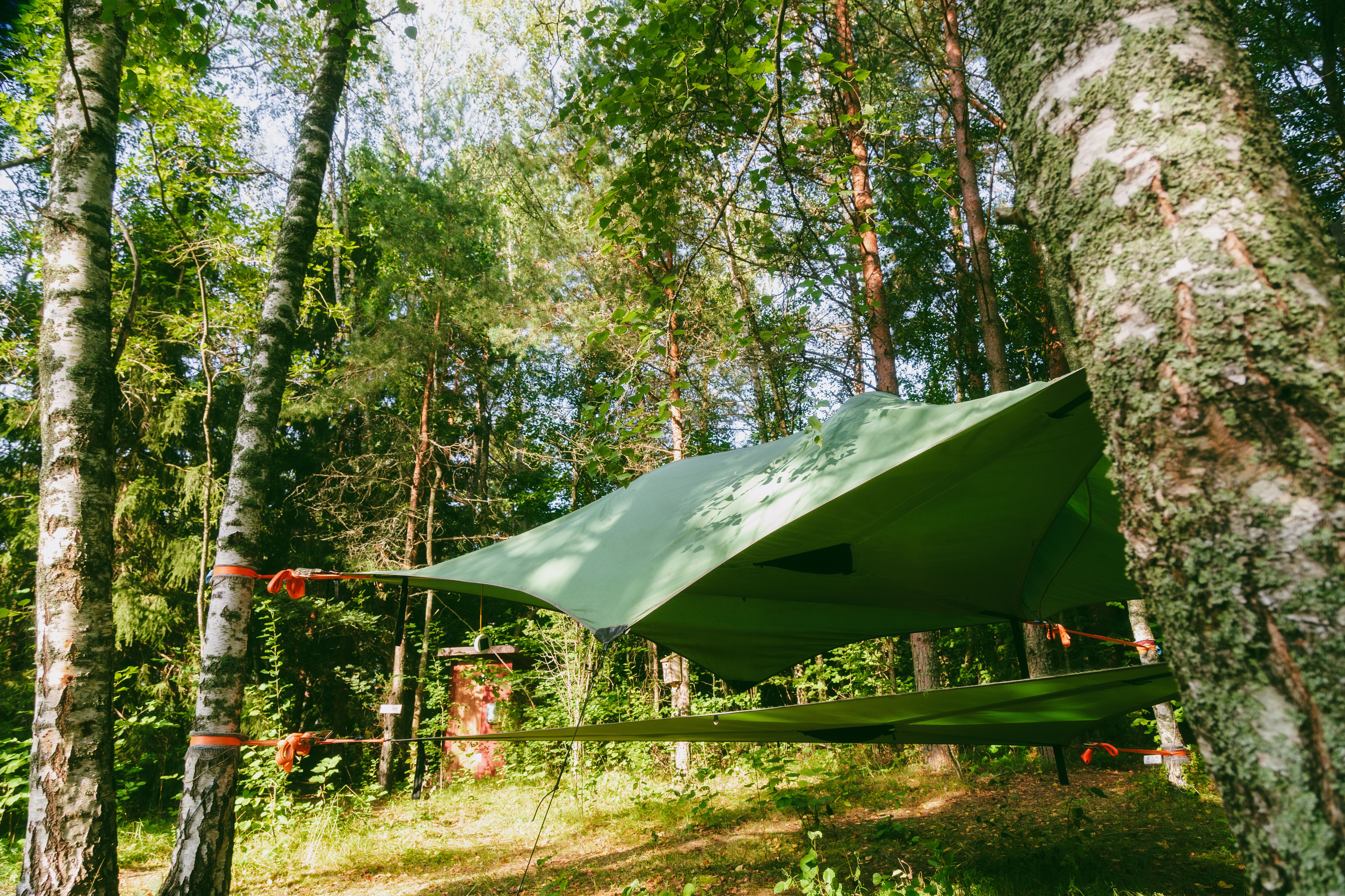 A tentsile in the woods.