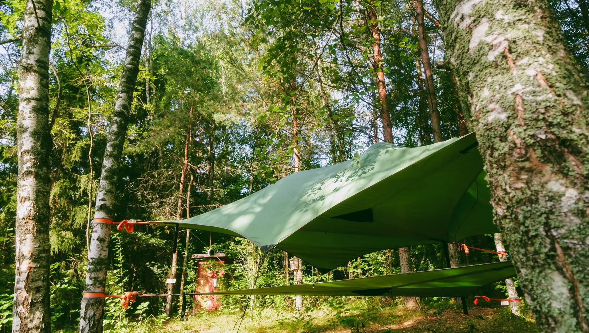 A tentsile in the woods of the archipelago.