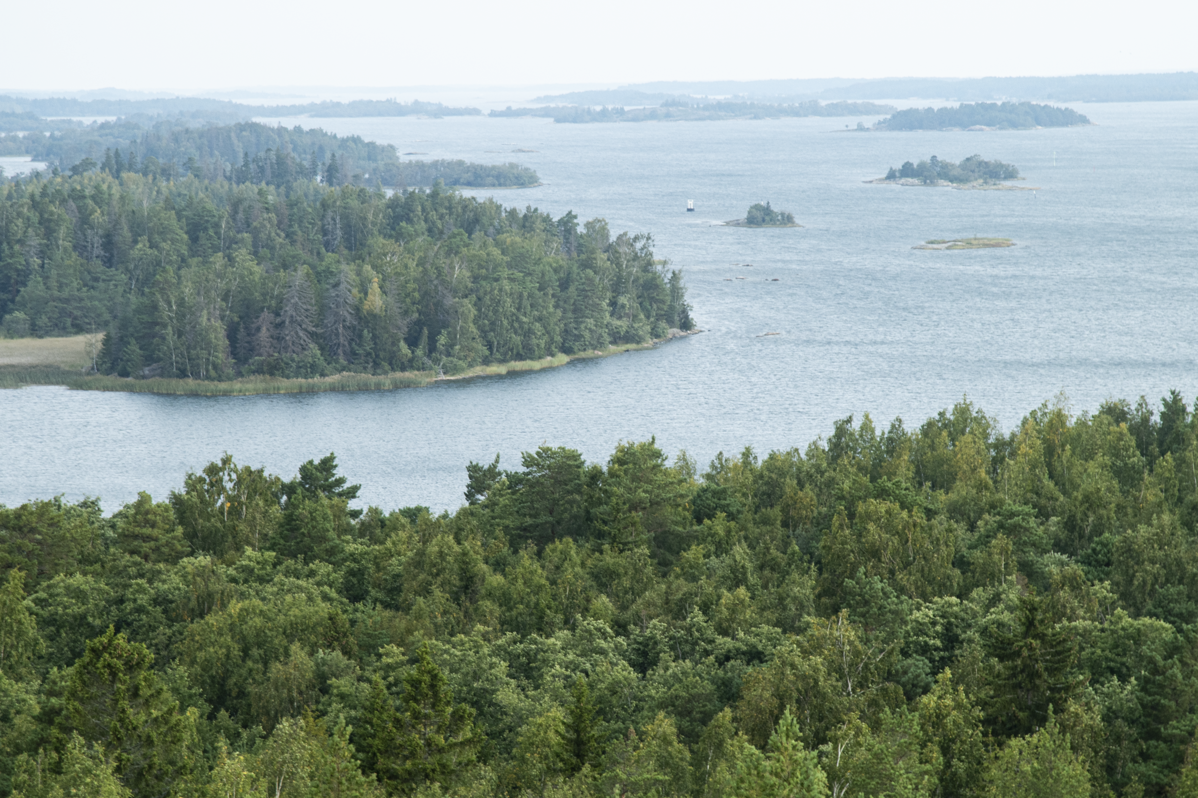 A view from Borgberg.