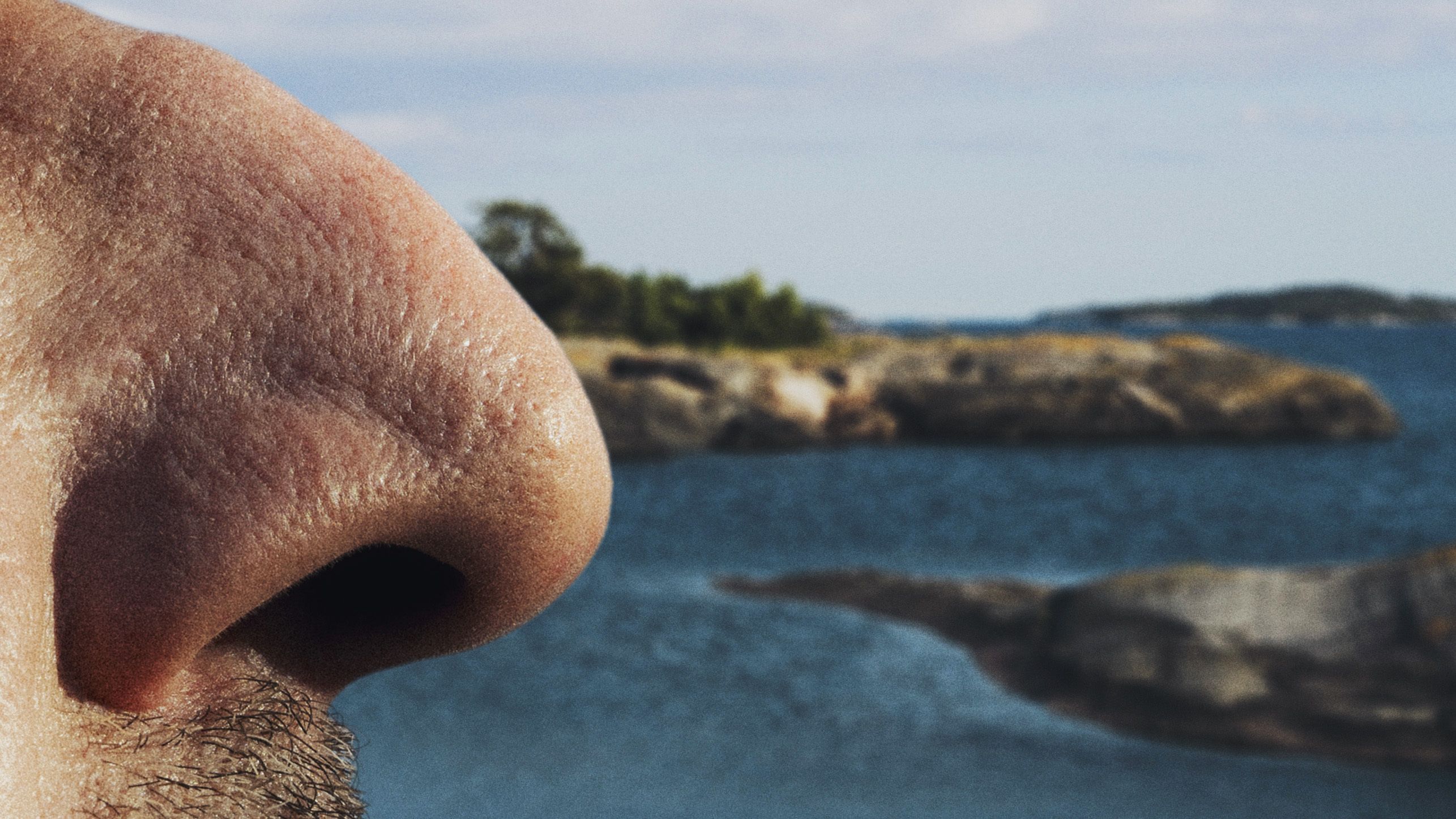 A Nose in Saaristo