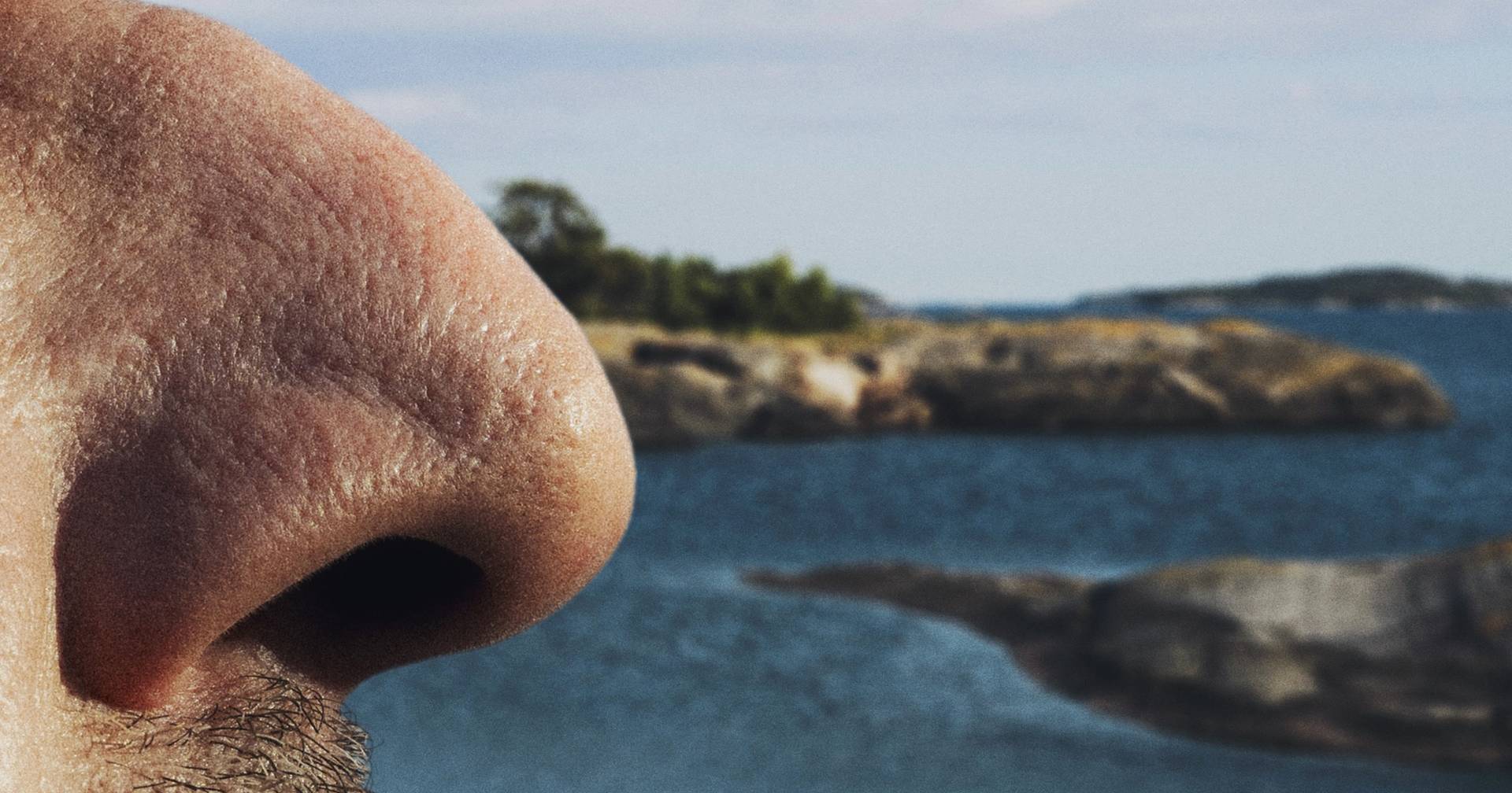 A Nose in Saaristo