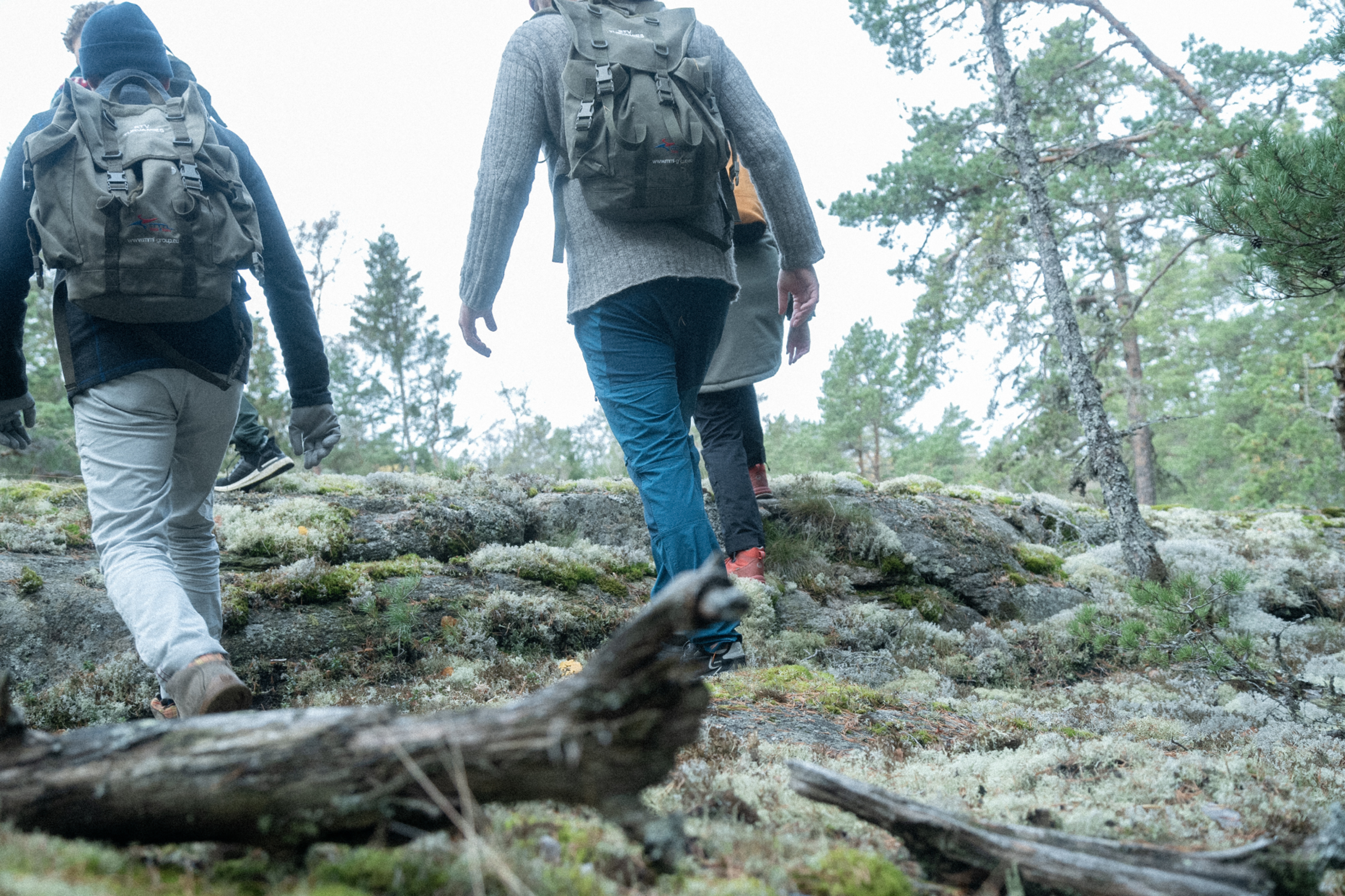 People hiking in an Finnish landscape