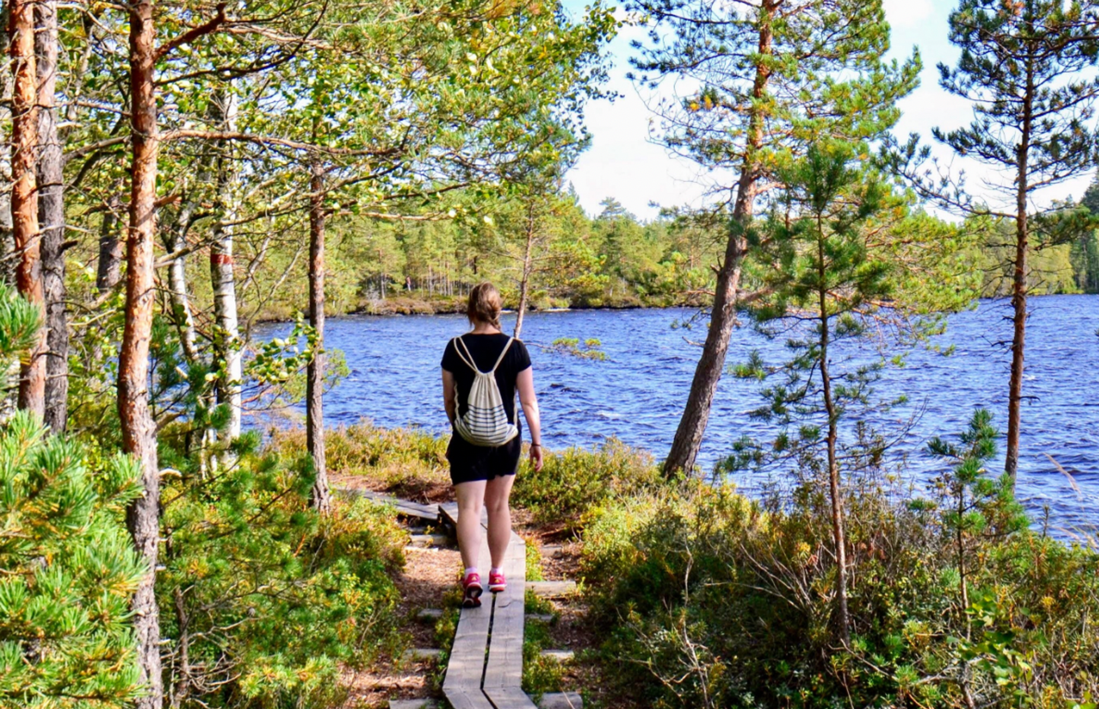 Person hiking in Kurjenrahka nature park