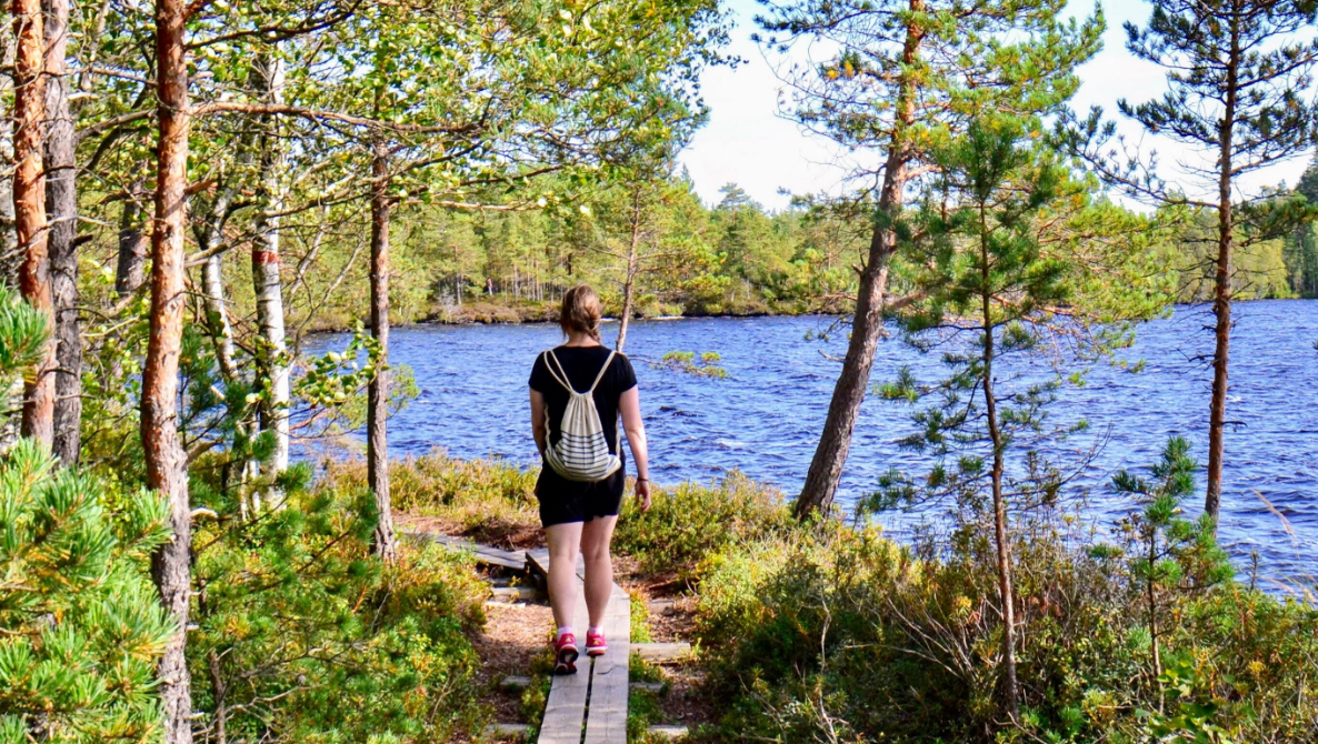 Person hiking in Kurjenrahka nature park