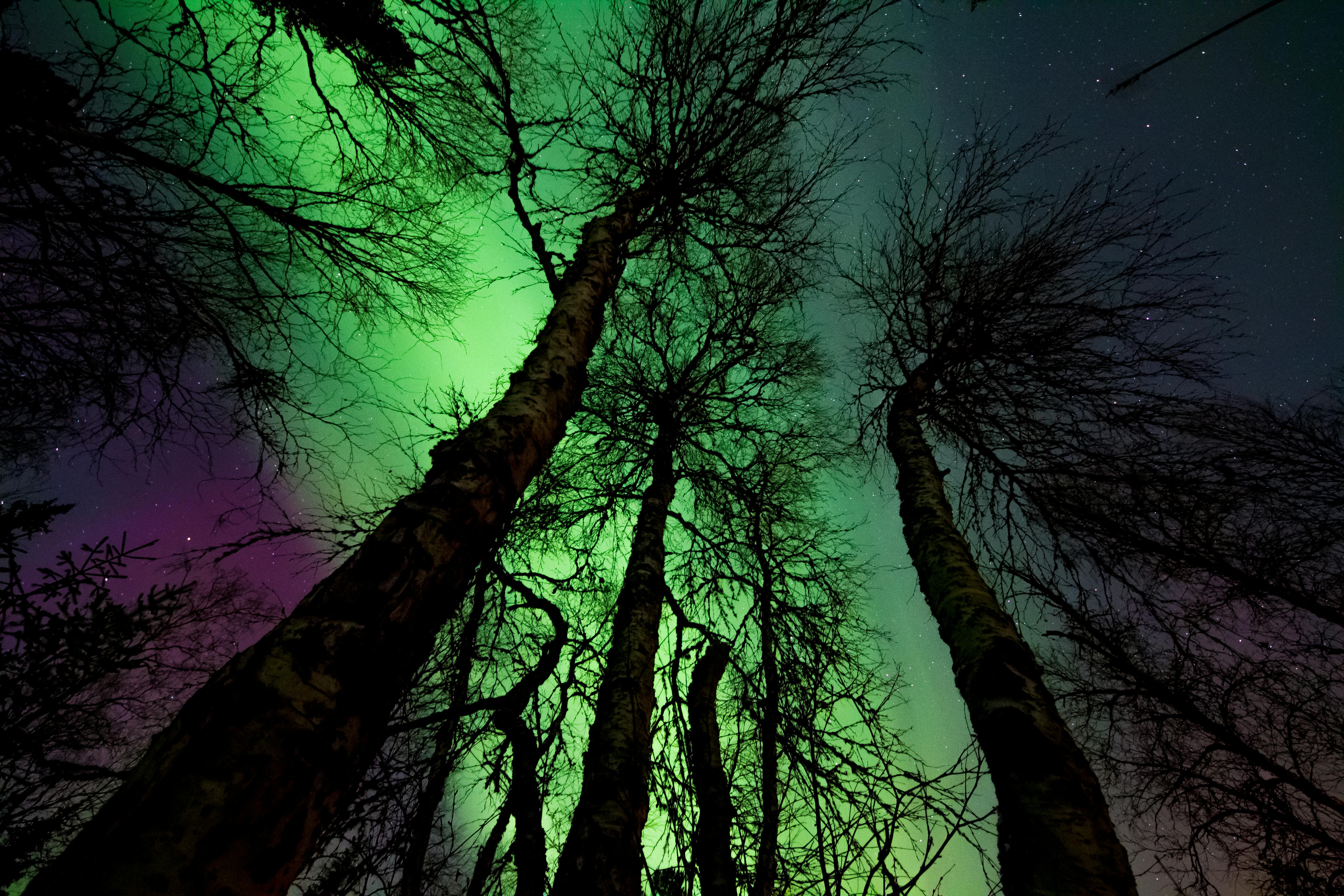 Northern lights.