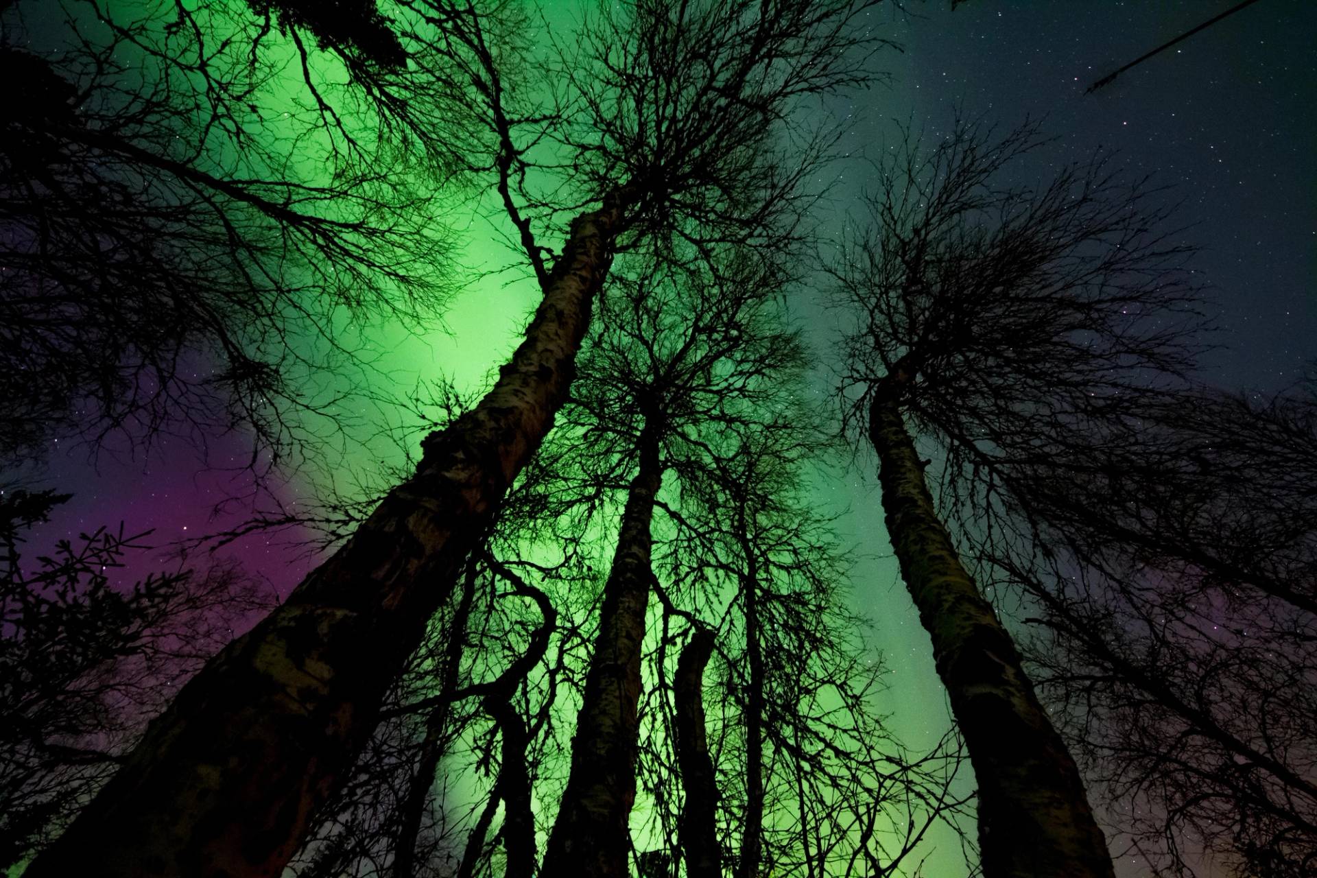 Northern lights.