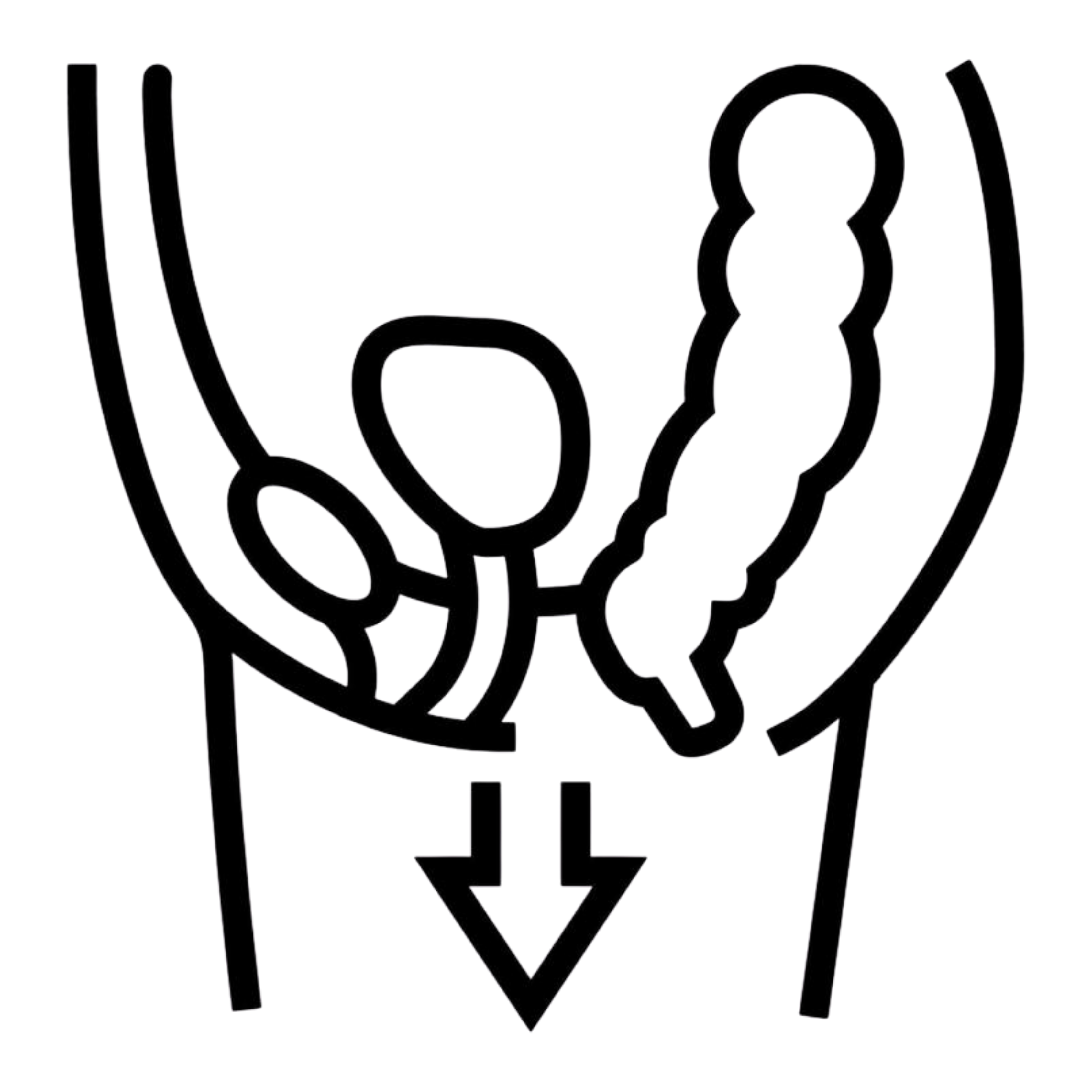 Pelvic Organ Prolapse
