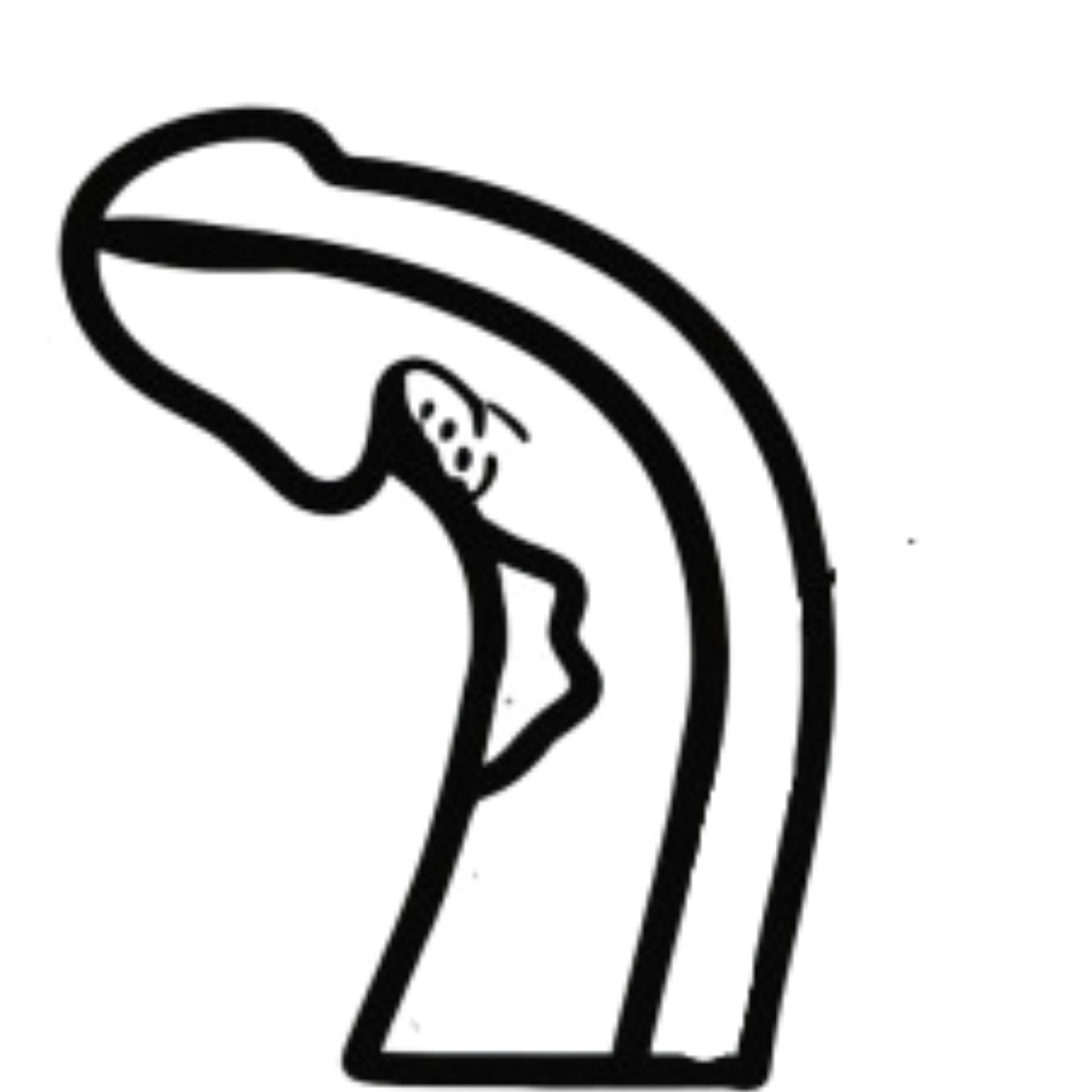 Penile Fracture