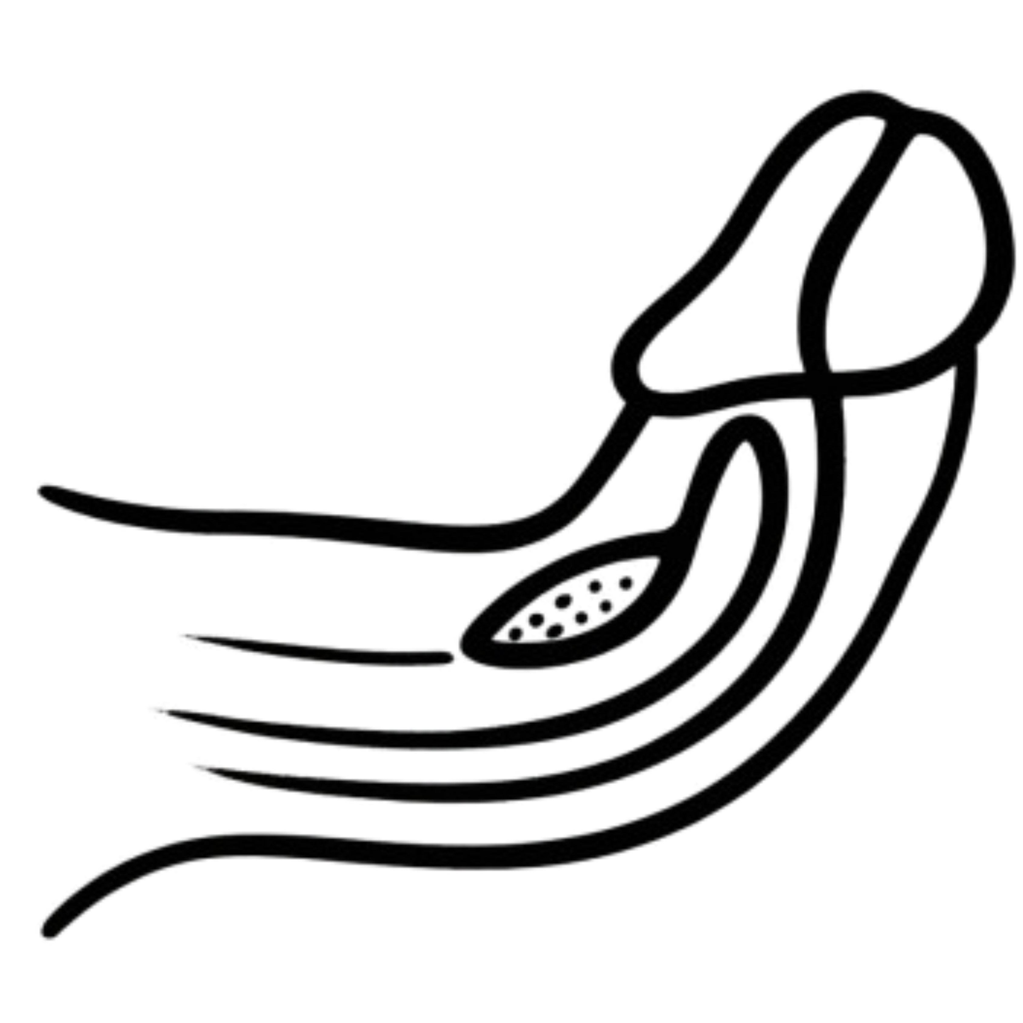 Peyronie's Disease