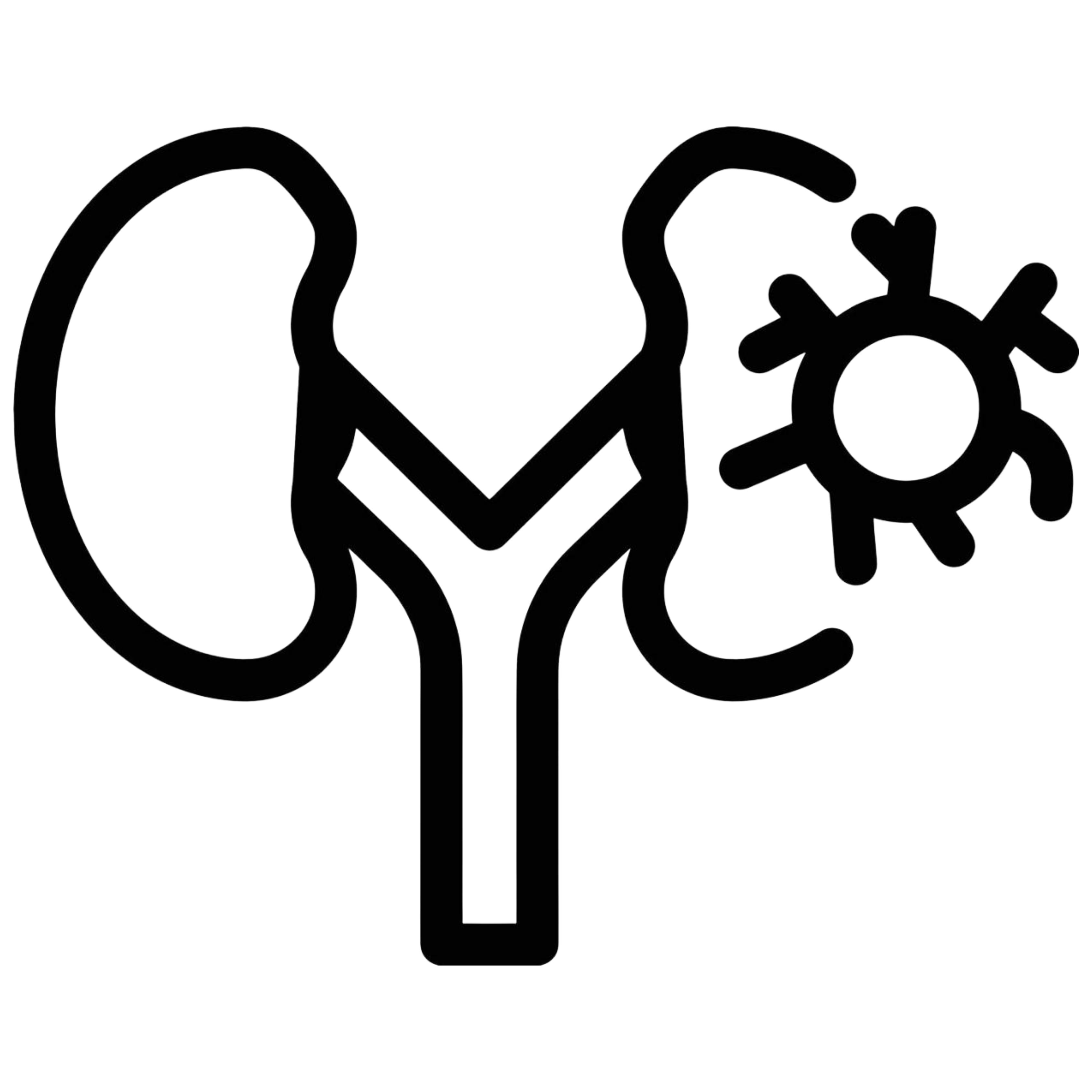 Kidney Cancer